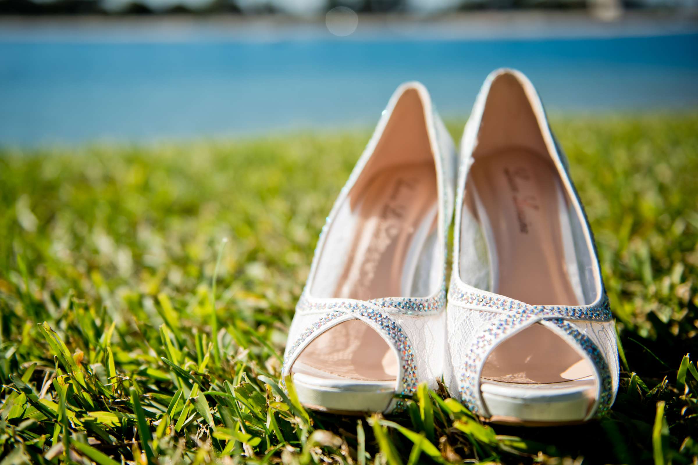 Paradise Point Wedding coordinated by Love Marks the Spot, Brittany and Adam Wedding Photo #13 by True Photography