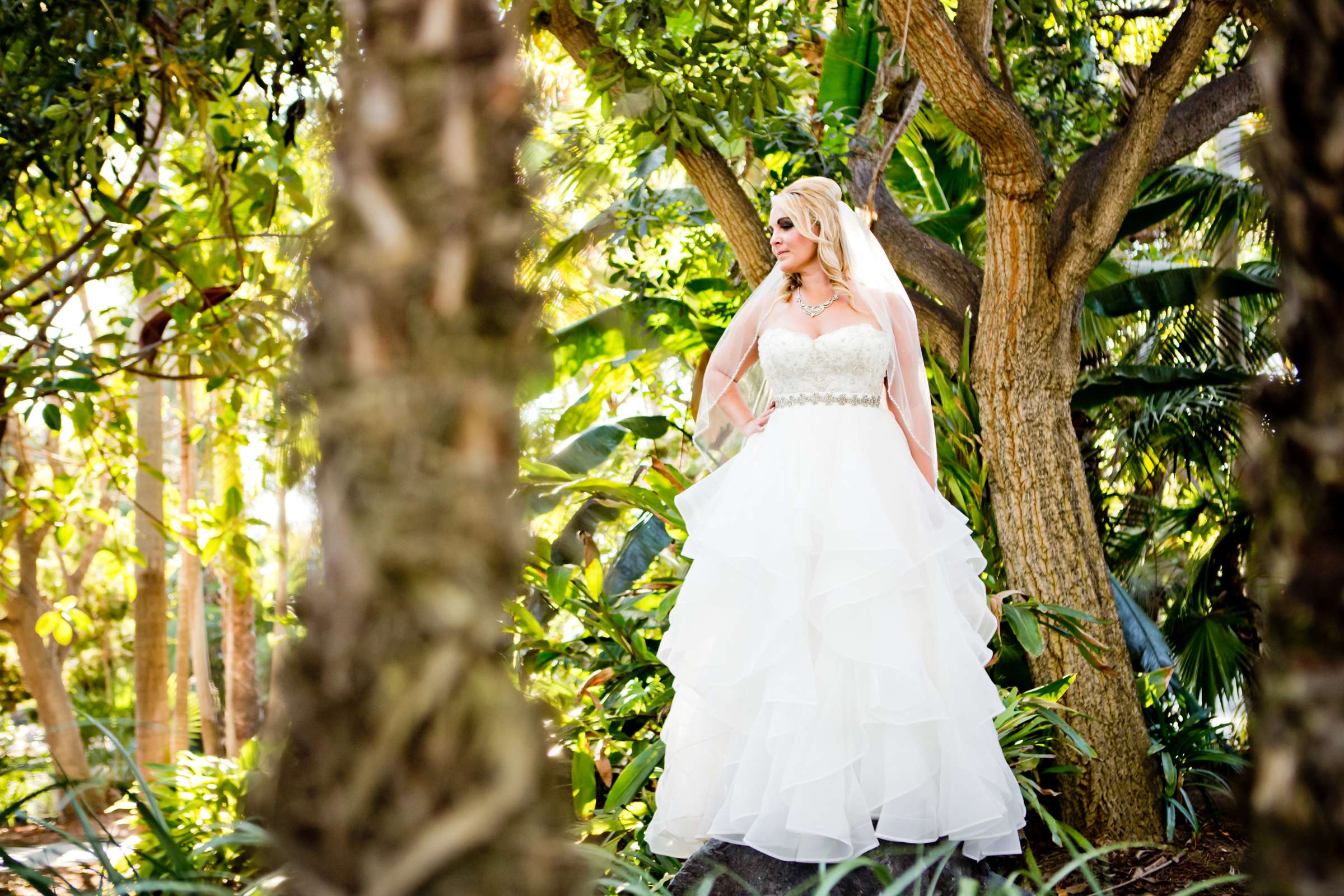 Paradise Point Wedding coordinated by Love Marks the Spot, Brittany and Adam Wedding Photo #36 by True Photography