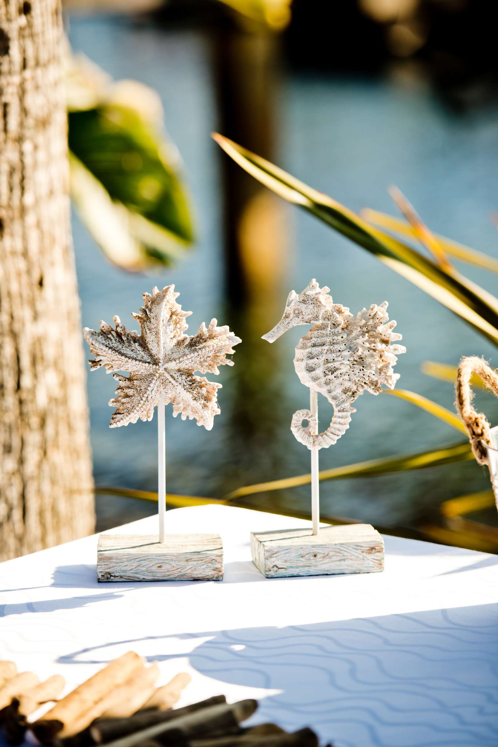 Paradise Point Wedding coordinated by Love Marks the Spot, Brittany and Adam Wedding Photo #116 by True Photography