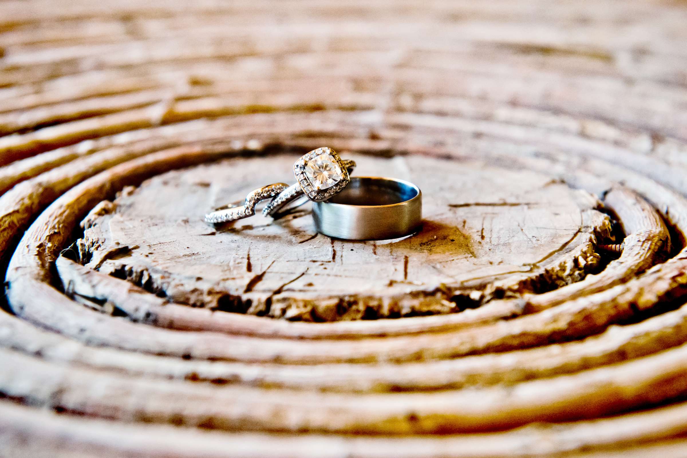 Rings at Serenity Oaks Ranch Wedding coordinated by I Do Weddings, Rachel and Mike Wedding Photo #6 by True Photography