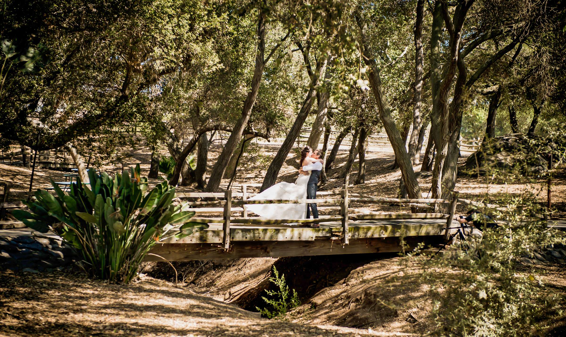 Serenity Oaks Ranch Wedding coordinated by I Do Weddings, Rachel and Mike Wedding Photo #9 by True Photography