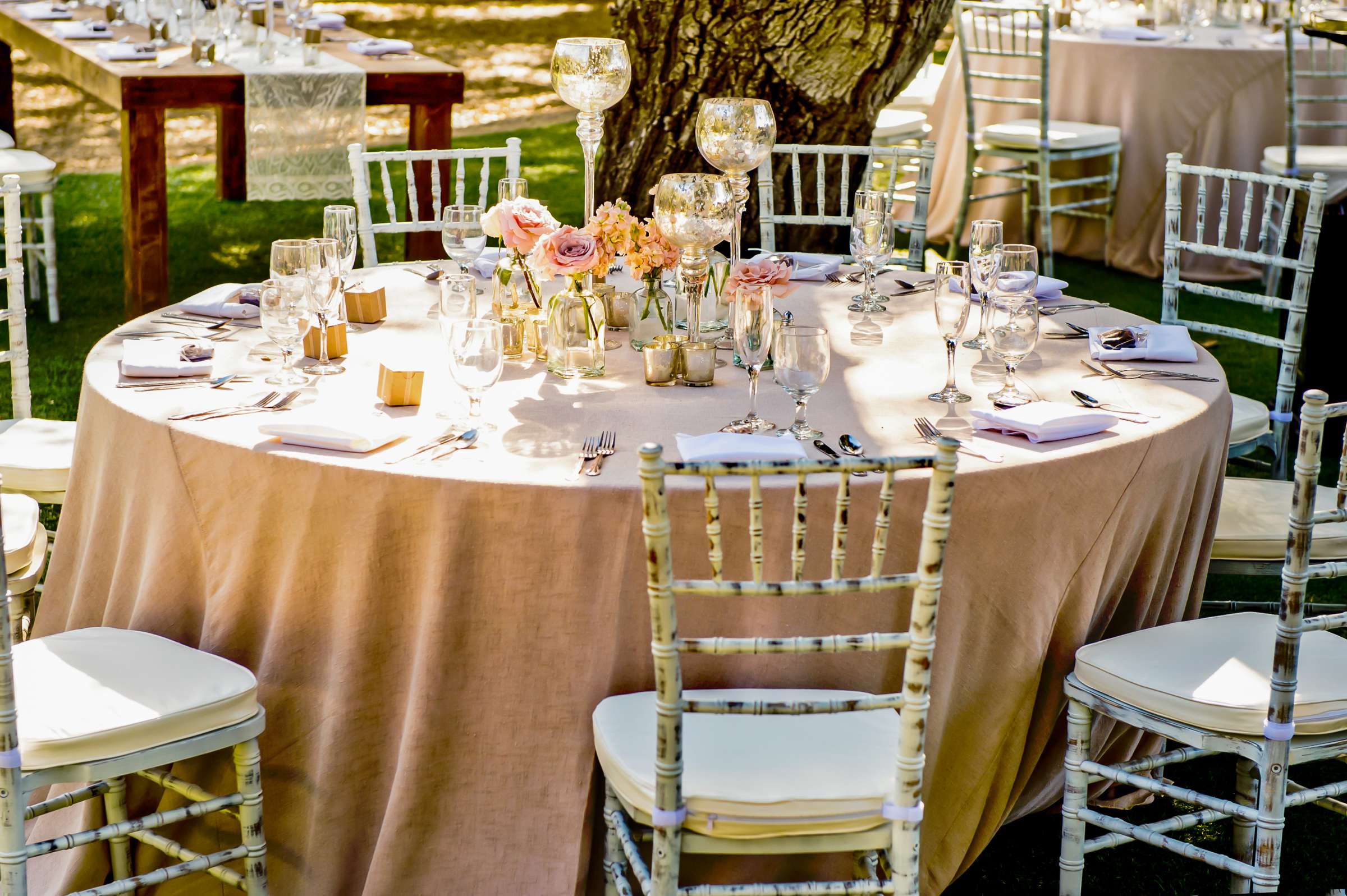 Serenity Oaks Ranch Wedding coordinated by I Do Weddings, Rachel and Mike Wedding Photo #69 by True Photography