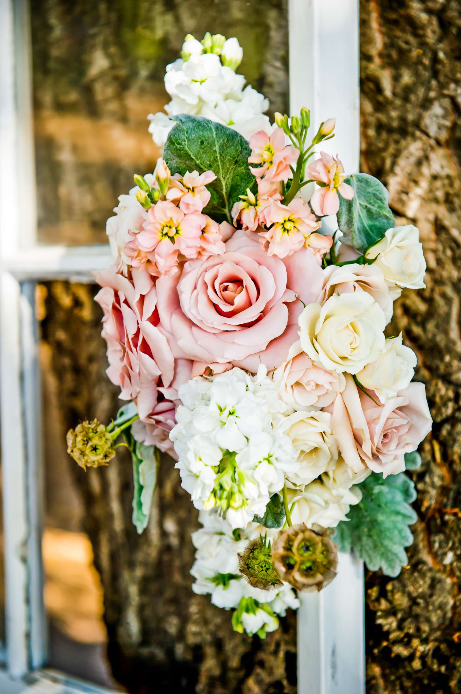 Serenity Oaks Ranch Wedding coordinated by I Do Weddings, Rachel and Mike Wedding Photo #106 by True Photography