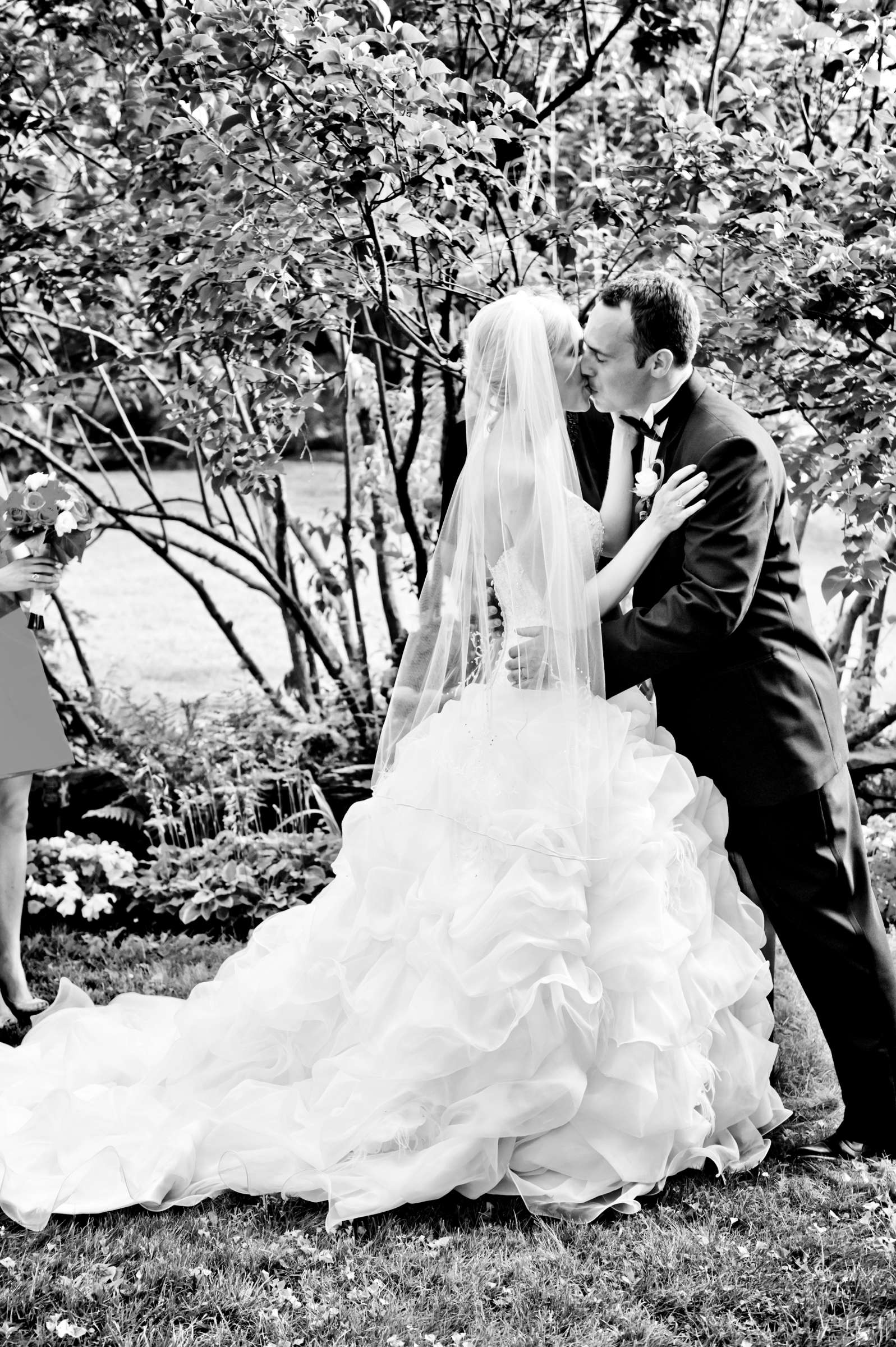 Wedding, Annie and Karl Wedding Photo #193056 by True Photography
