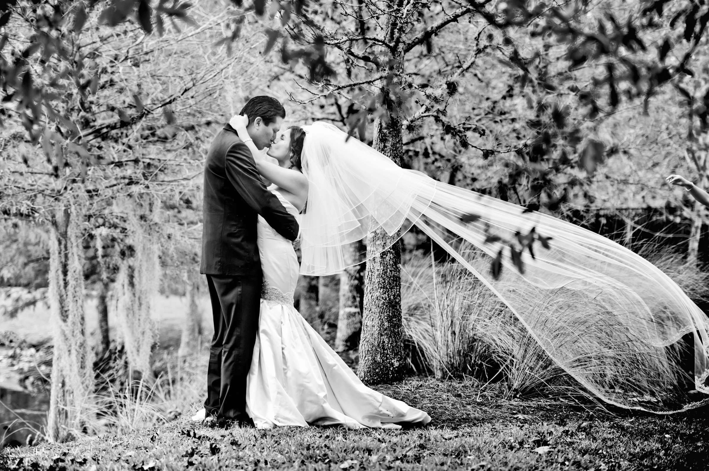 Wedding, Vivian and Wayman Wedding Photo #194073 by True Photography
