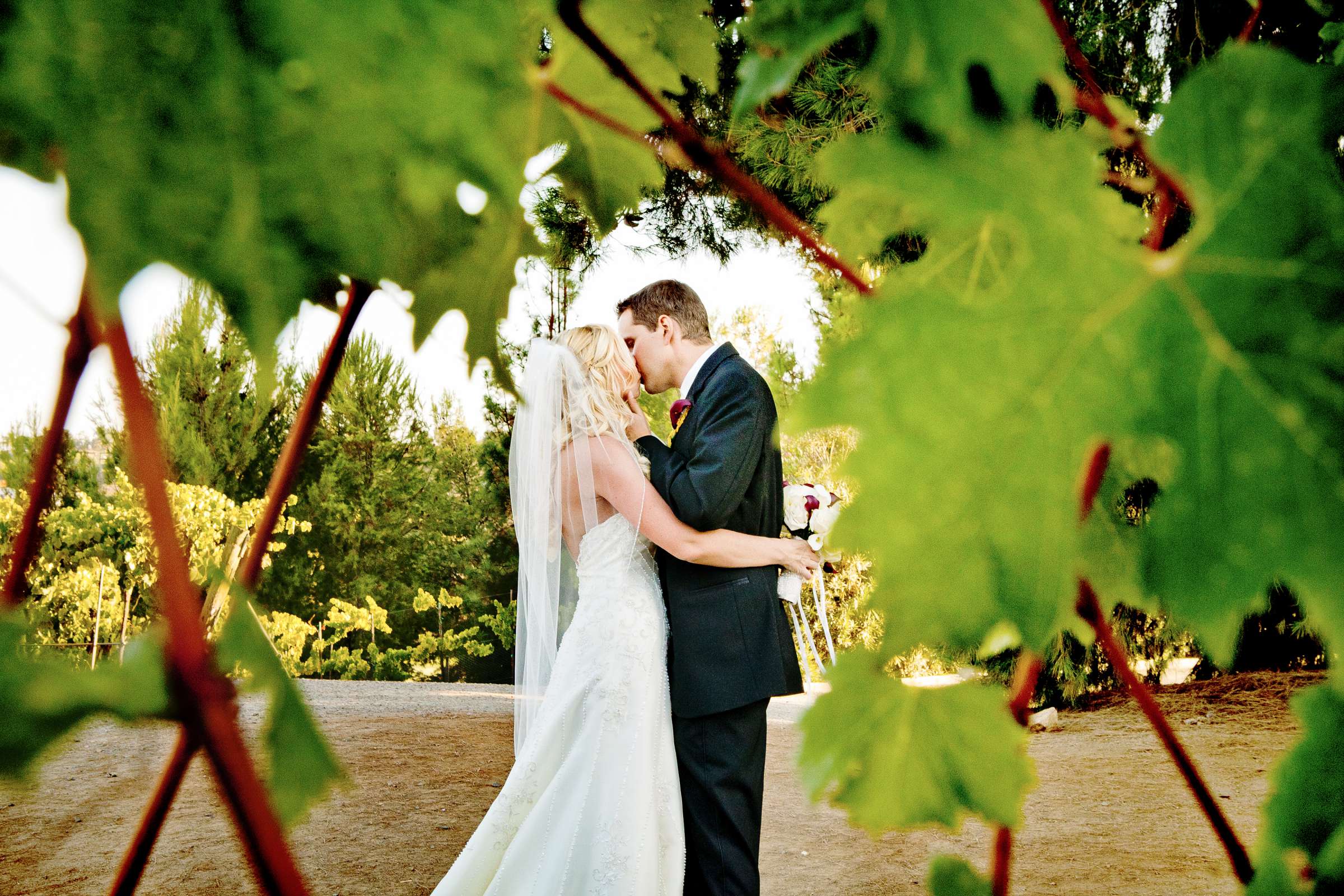Orfila Vineyards Wedding, Kim and Austin Wedding Photo #199905 by True Photography