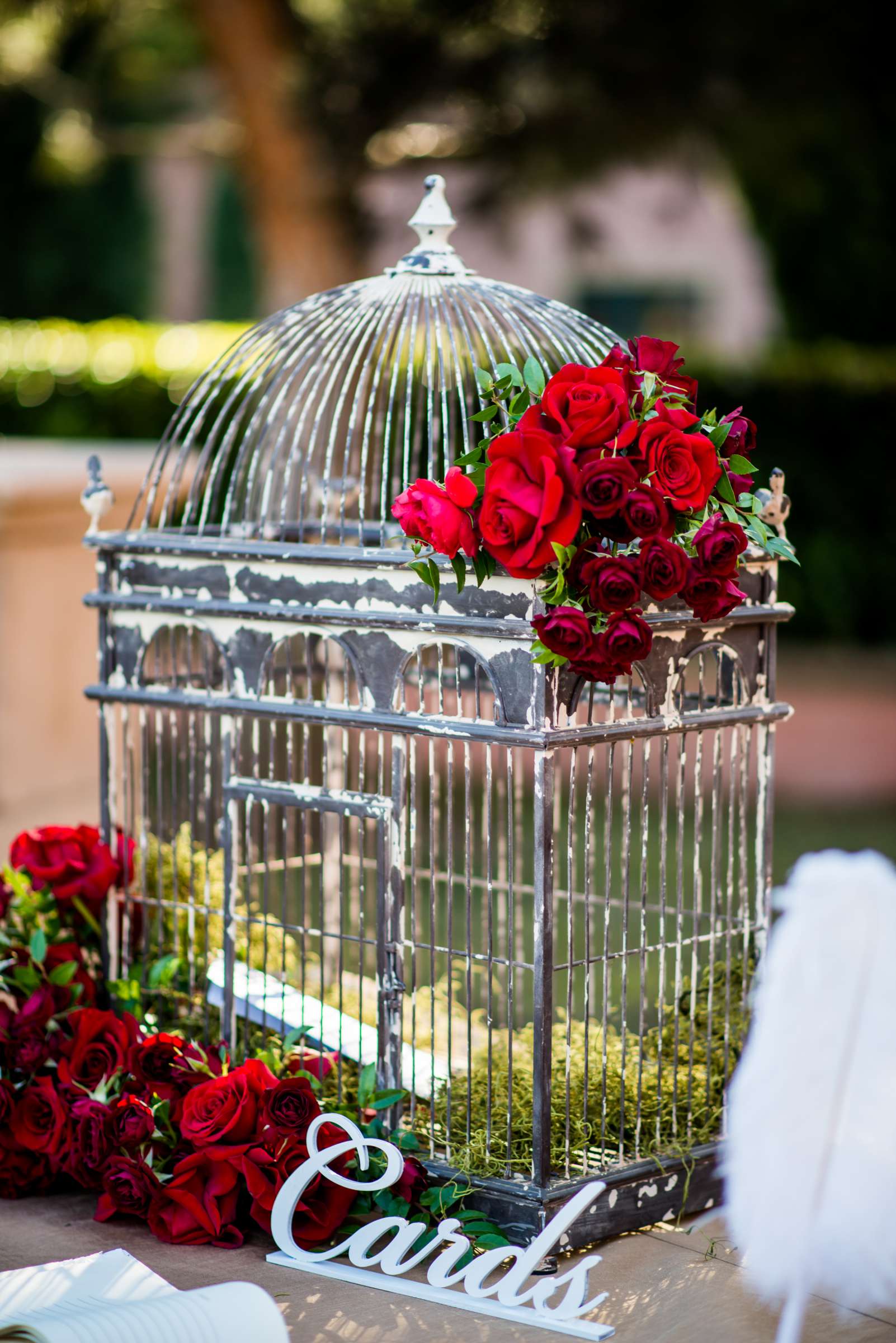 Fairmont Grand Del Mar Wedding coordinated by CZ Events, Chelsea and Aaron Wedding Photo #173 by True Photography
