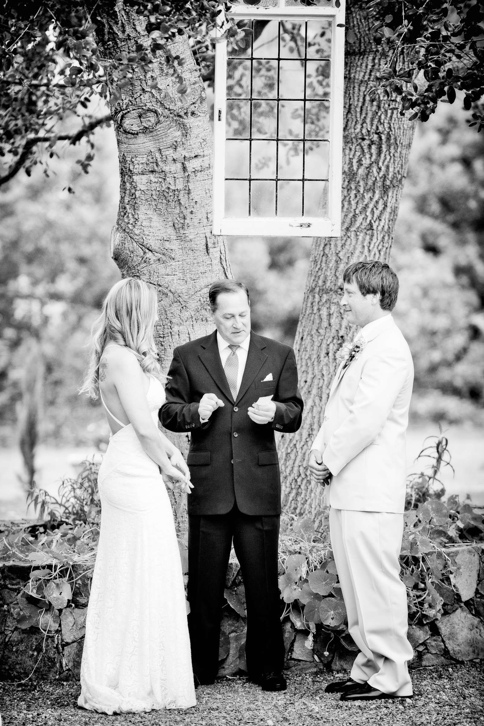Wedding, Emily and David Wedding Photo #203123 by True Photography