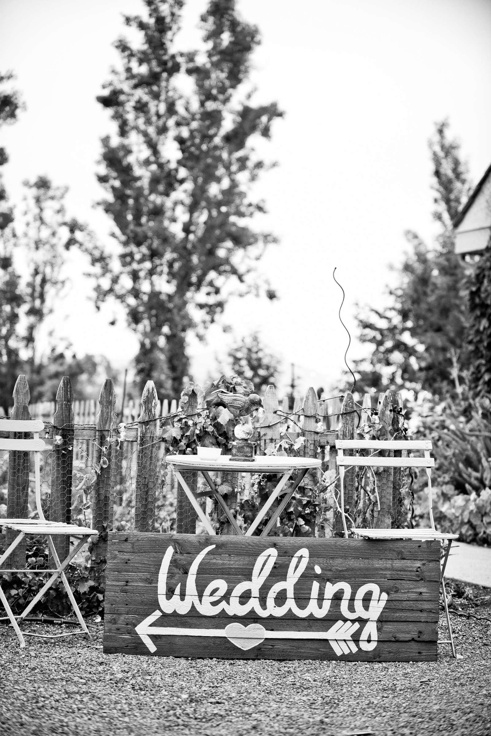 Wedding, Emily and David Wedding Photo #203154 by True Photography