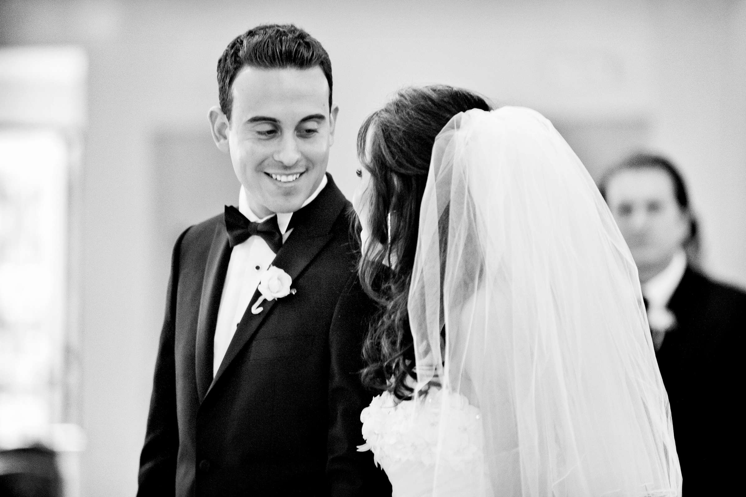 Wedding, Analee and Brian Wedding Photo #204080 by True Photography