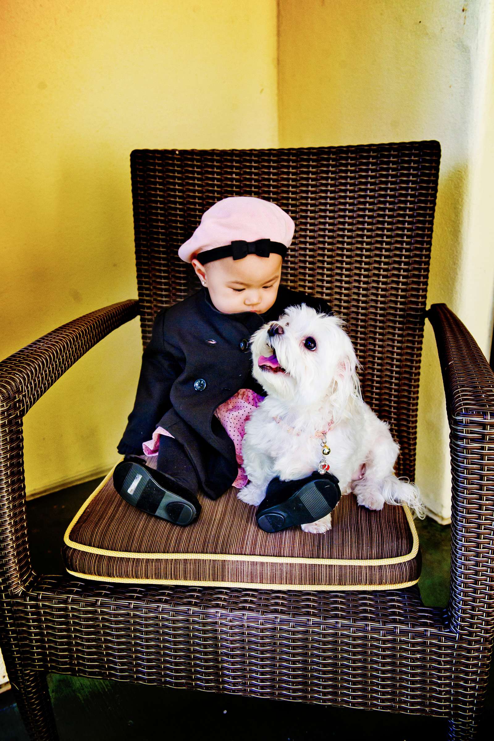 Pets, Kids at Terranea Resort Wedding, Sishi and Ludwik Wedding Photo #205896 by True Photography