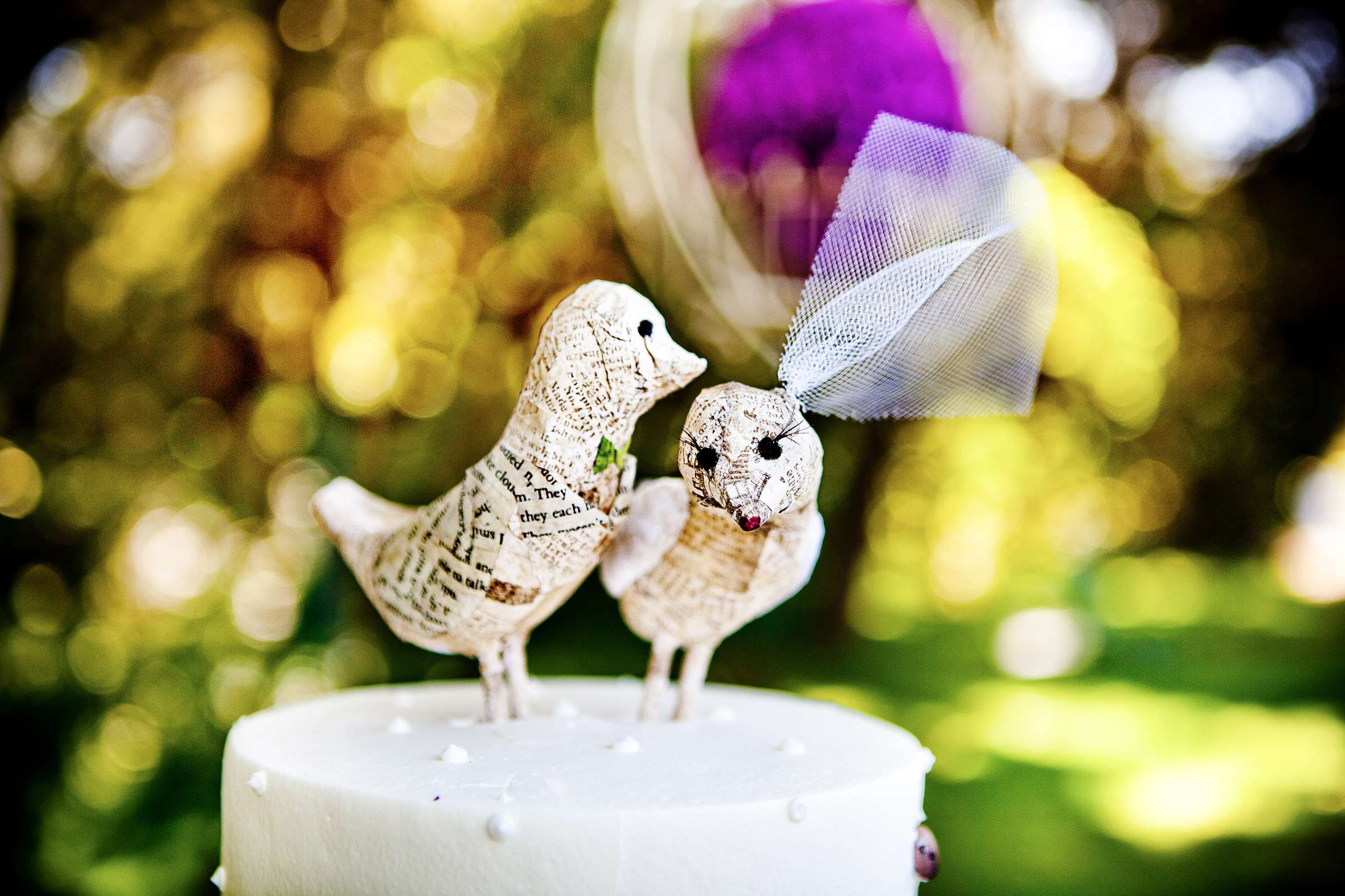 Cake Topper at Private Residence Wedding, Linzey and Peter Wedding Photo #206489 by True Photography