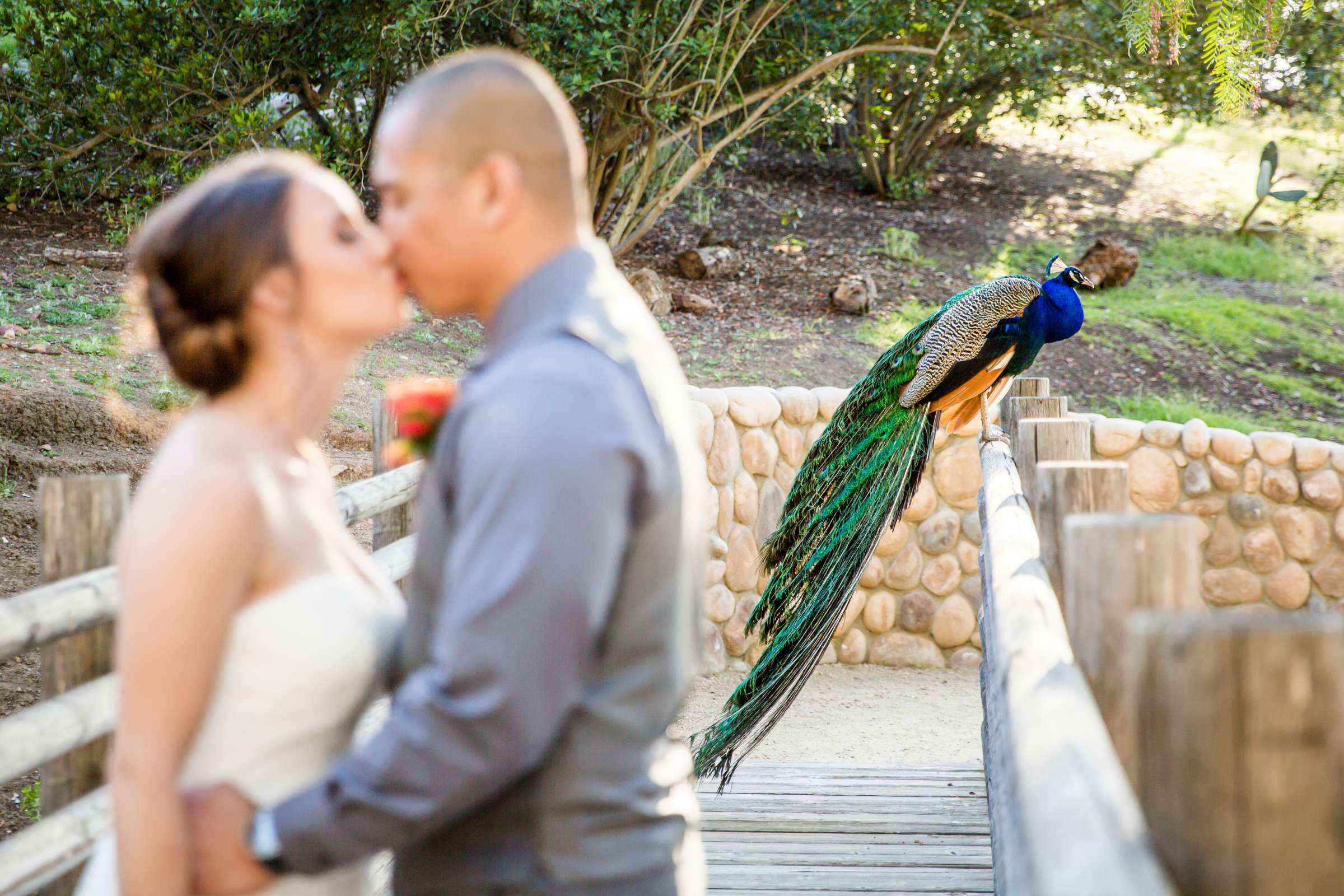 Leo Carrillo Ranch Wedding, MacKenzee and Efren Wedding Photo #72 by True Photography