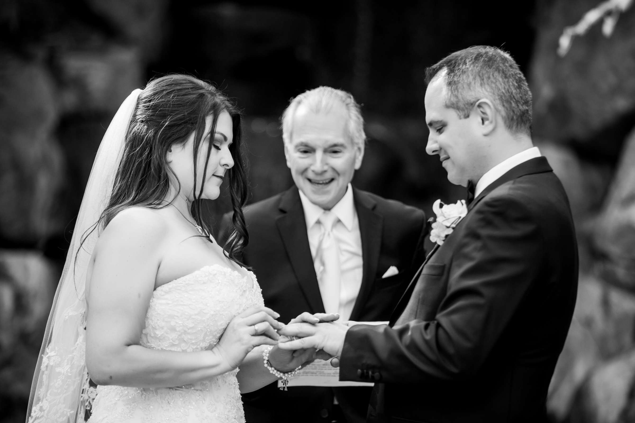 Grand Tradition Estate Wedding, Christina and Ray Wedding Photo #213693 by True Photography