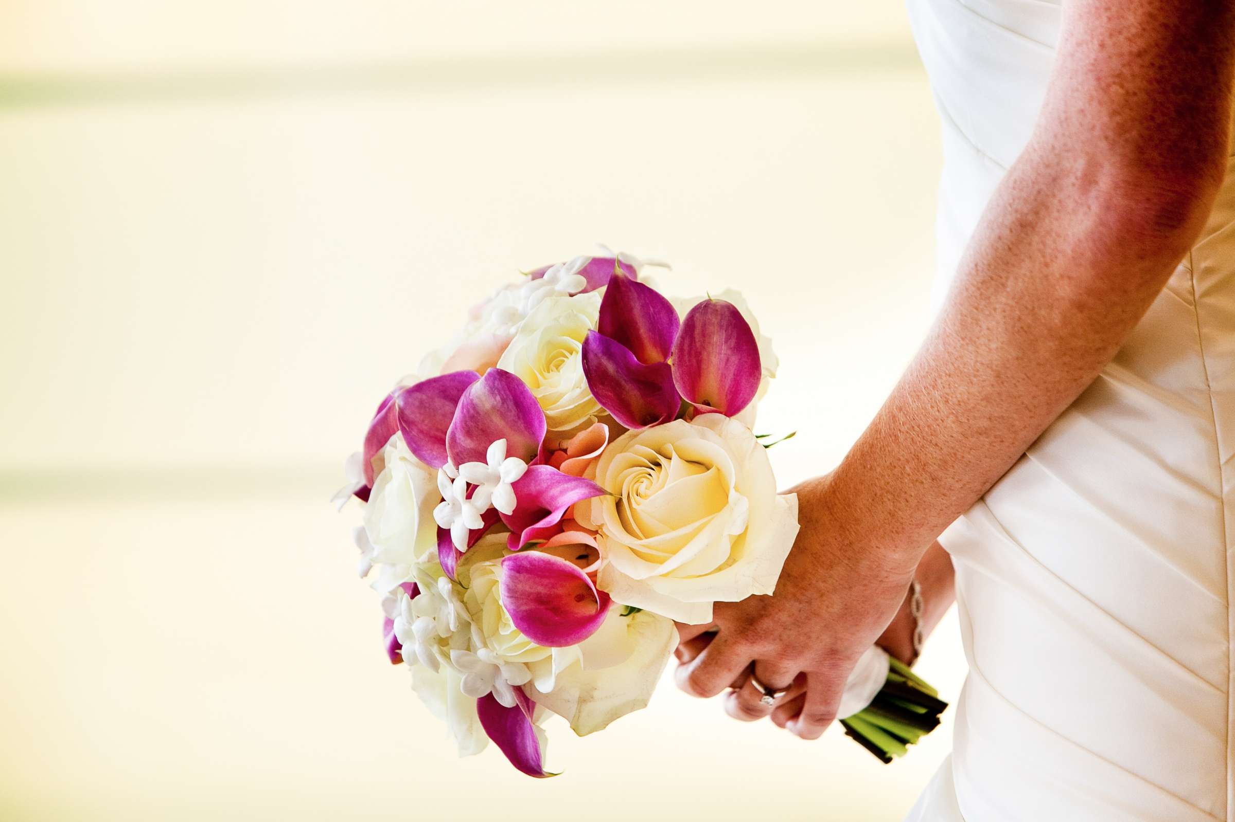 Hilton San Diego Bayfront Wedding coordinated by Pure Planning, Nikki and Mike Wedding Photo #217425 by True Photography