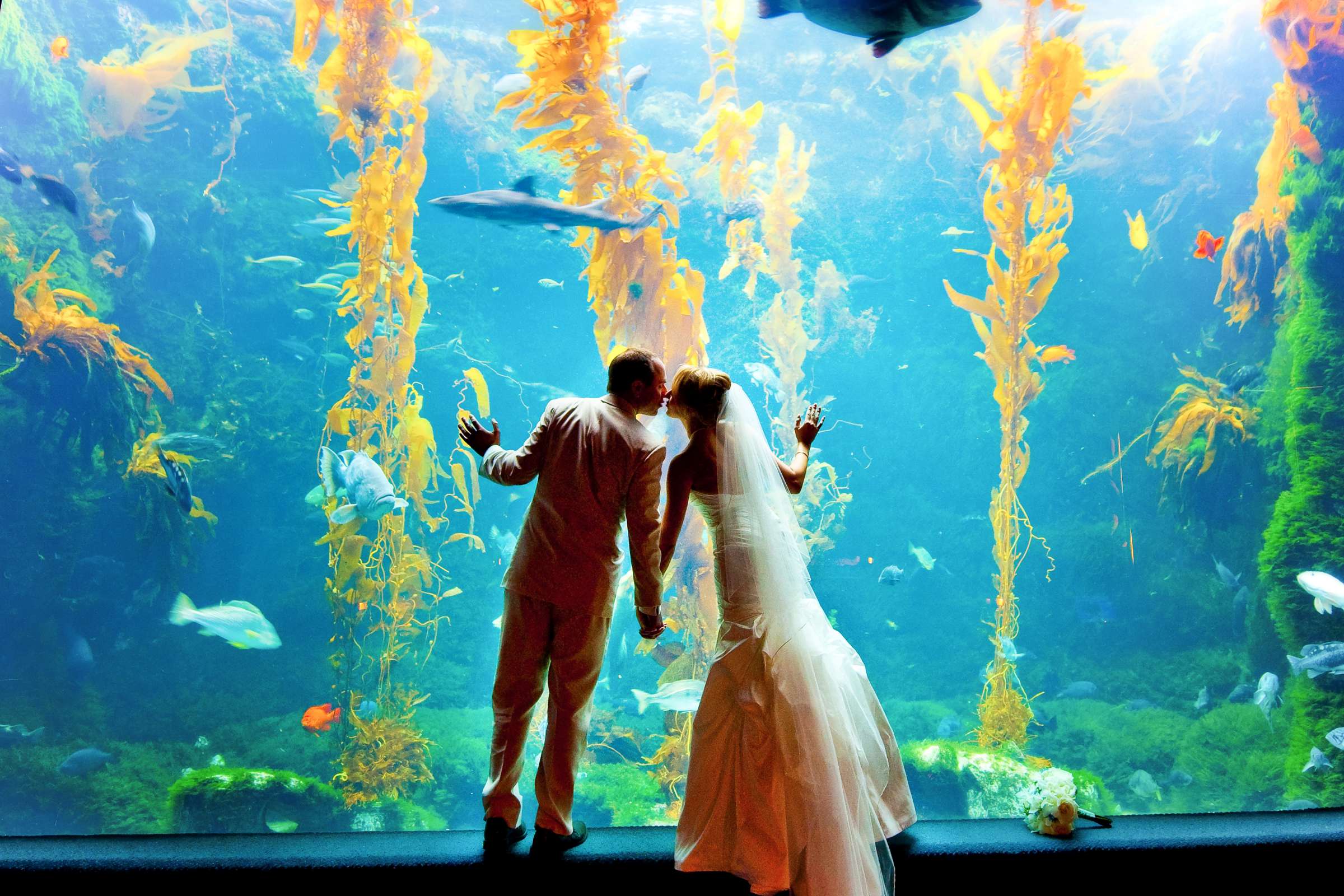 Birch Aquarium at Scripps Wedding coordinated by Bridal Bar, Jenny and Chris Wedding Photo #217477 by True Photography