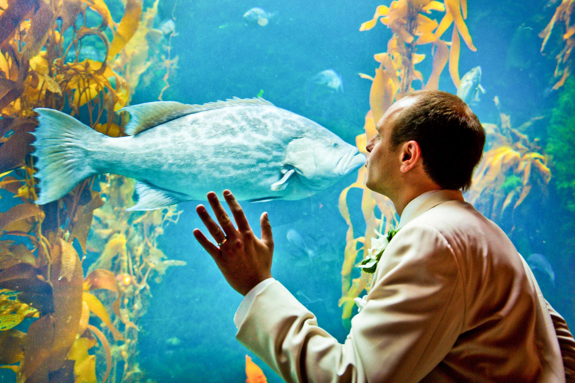 Birch Aquarium at Scripps Wedding coordinated by Bridal Bar, Jenny and Chris Wedding Photo #217488 by True Photography