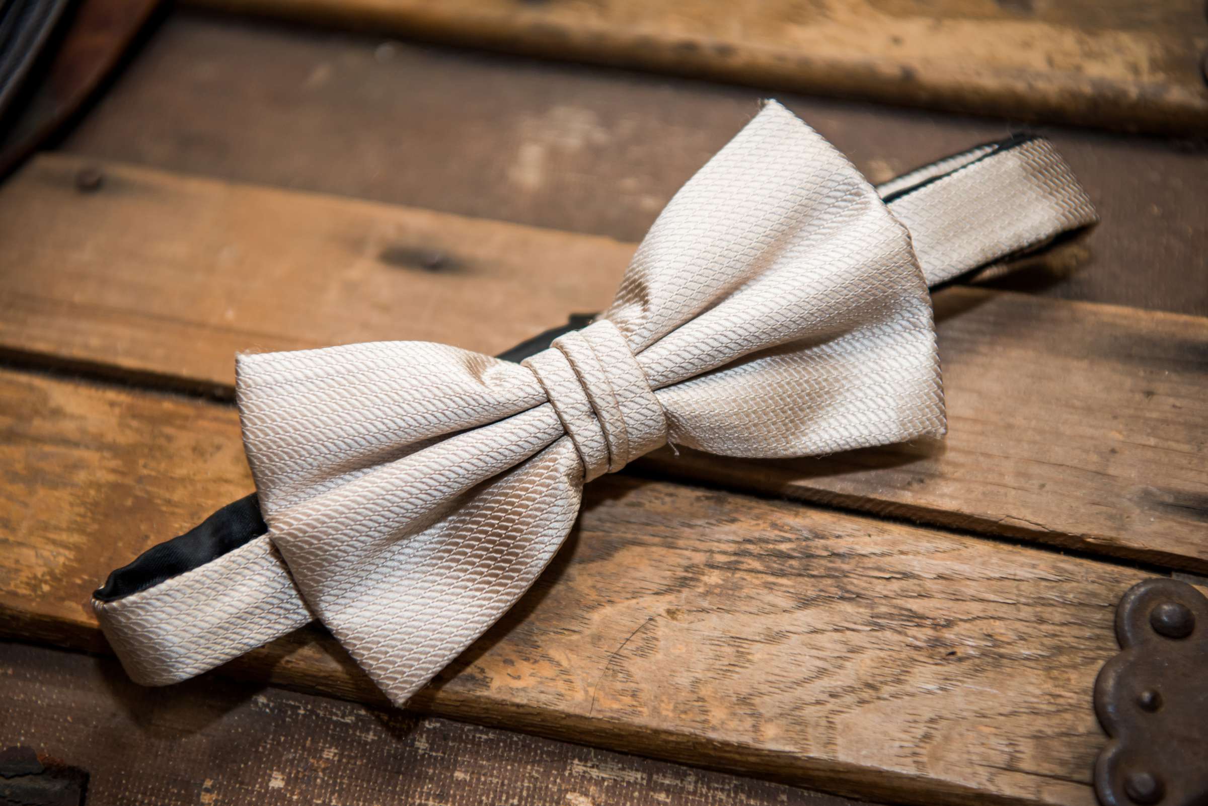 Bow Tie at Rancho Guajome Adobe Wedding coordinated by Selina Rose Weddings & Events, Leticia and Anthony Wedding Photo #17 by True Photography