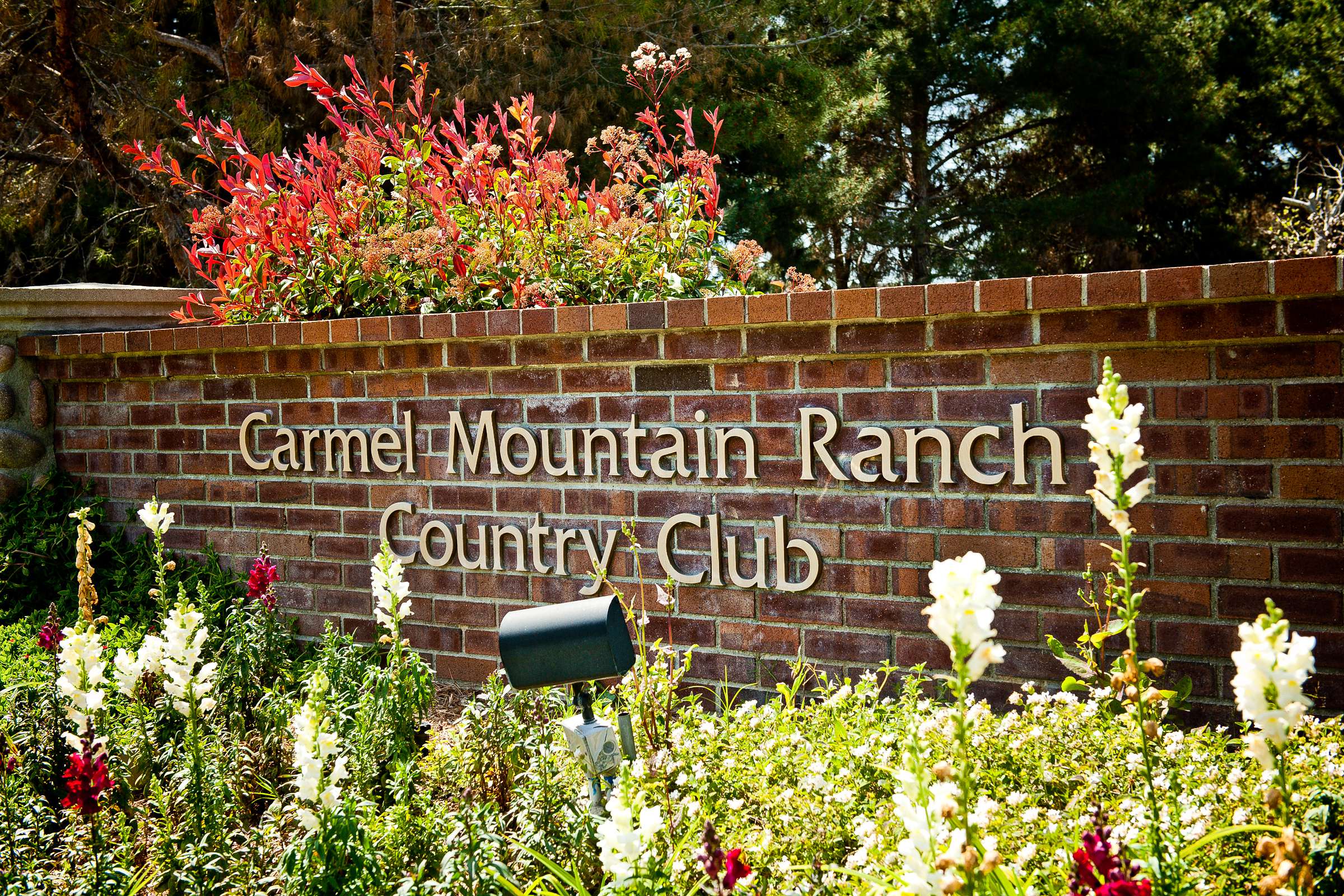 Carmel Mountain Ranch Wedding, Jiin and Allen Wedding Photo #218787 by True Photography