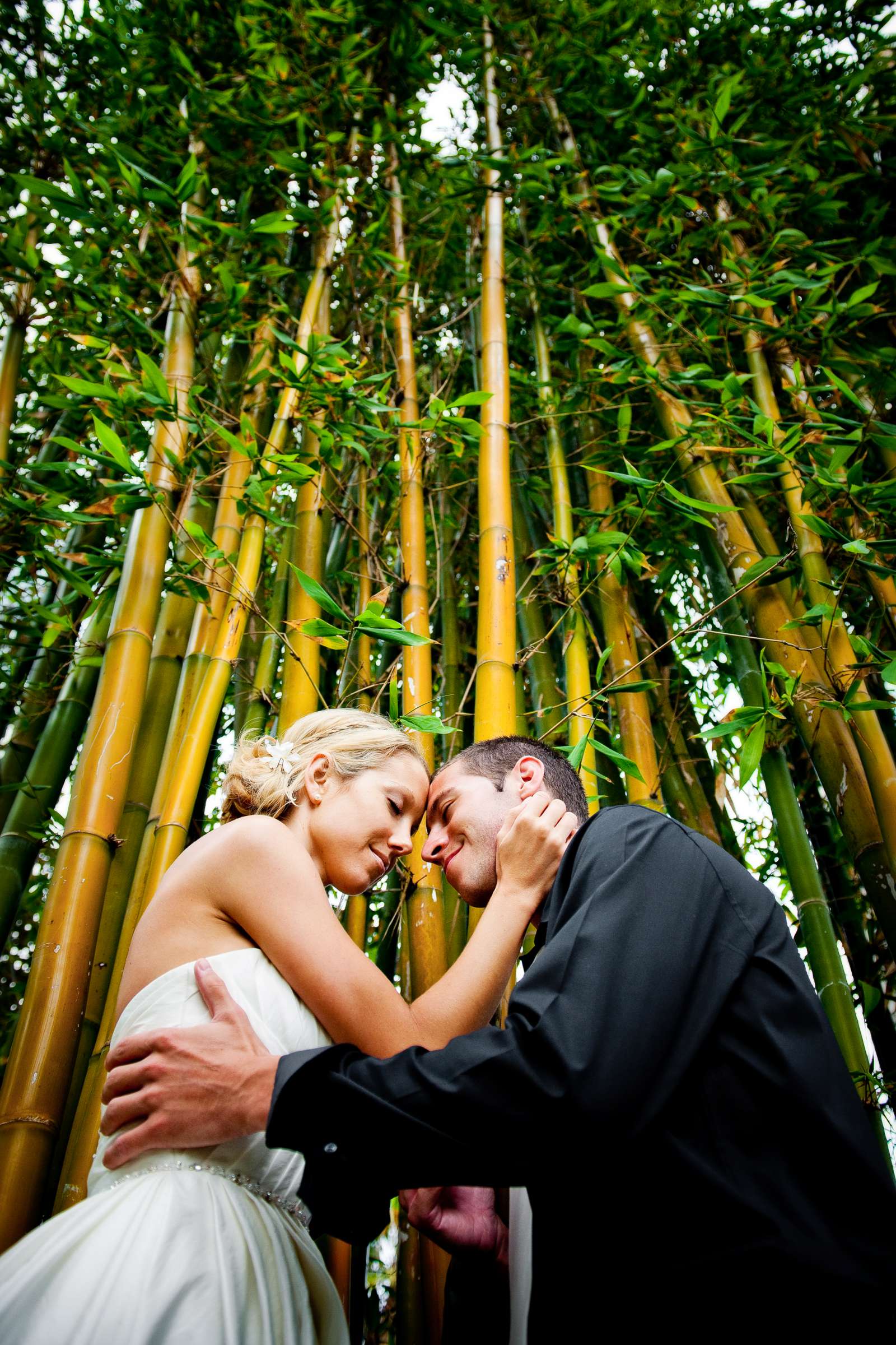 Paradise Point Wedding, Chrissy and Tan'r Wedding Photo #218815 by True Photography