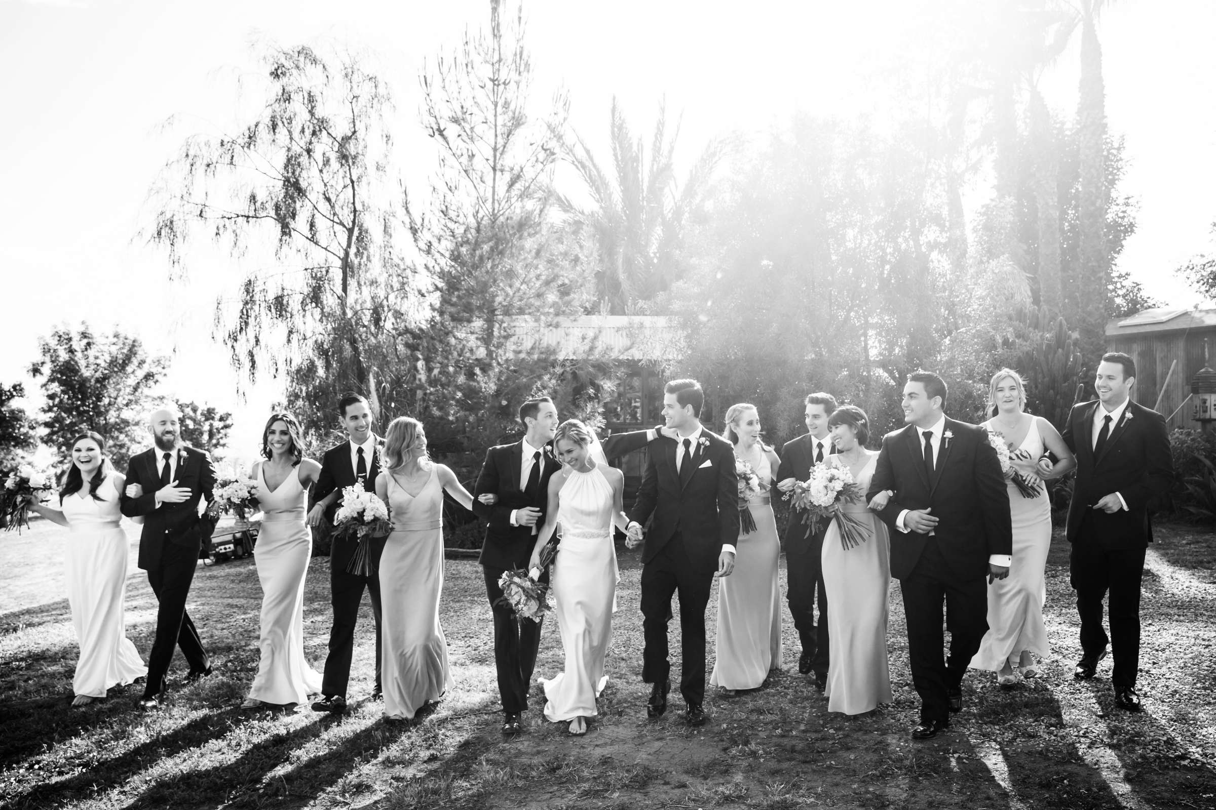 Condors Nest Ranch Wedding, Allison and Justin Wedding Photo #9 by True Photography
