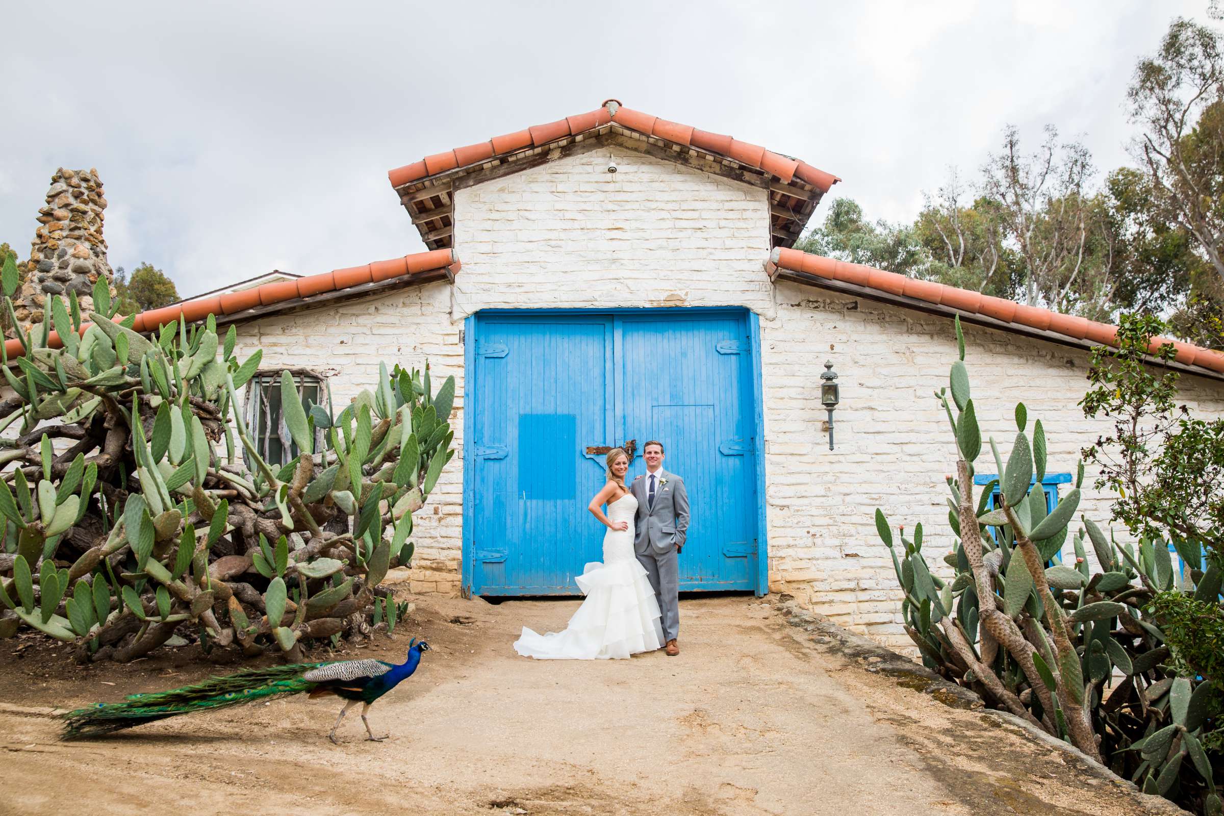 Leo Carrillo Ranch Wedding coordinated by Personal Touch Dining, Robin and Joshua Wedding Photo #6 by True Photography