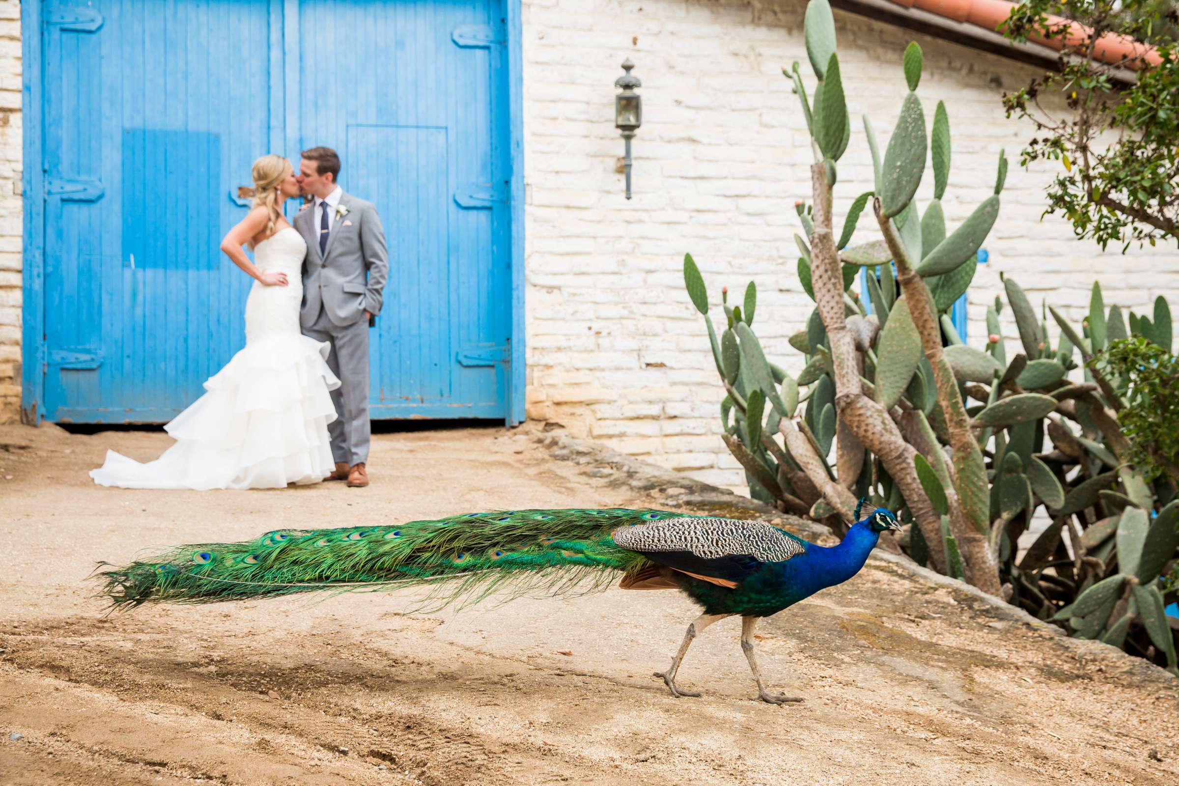 Rustic photo, Stylized Portrait at Leo Carrillo Ranch Wedding coordinated by Personal Touch Dining, Robin and Joshua Wedding Photo #1 by True Photography