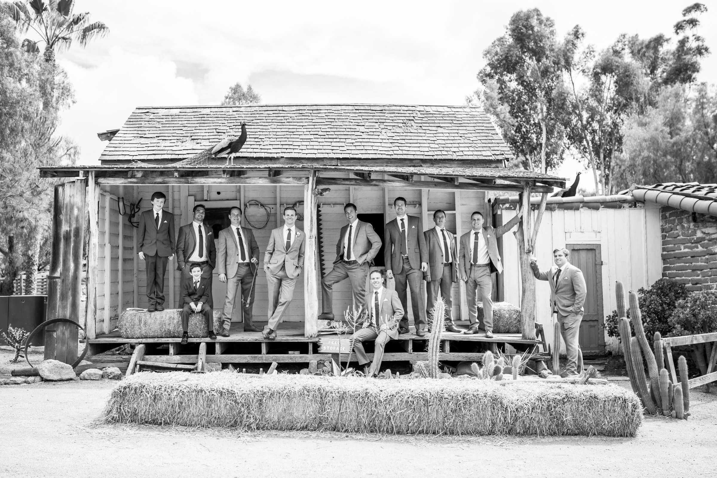 Groomsmen, Rustic photo at Leo Carrillo Ranch Wedding coordinated by Personal Touch Dining, Robin and Joshua Wedding Photo #11 by True Photography