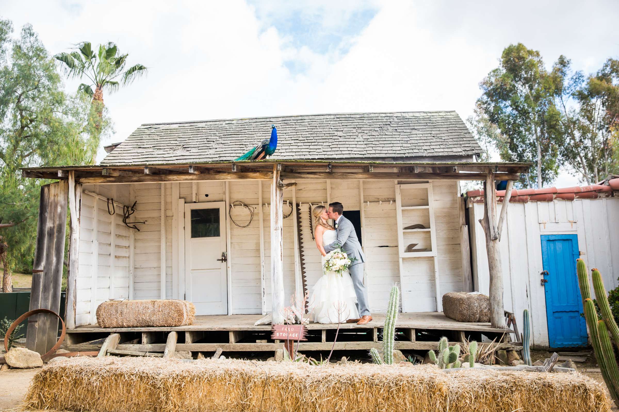 Leo Carrillo Ranch Wedding coordinated by Personal Touch Dining, Robin and Joshua Wedding Photo #15 by True Photography