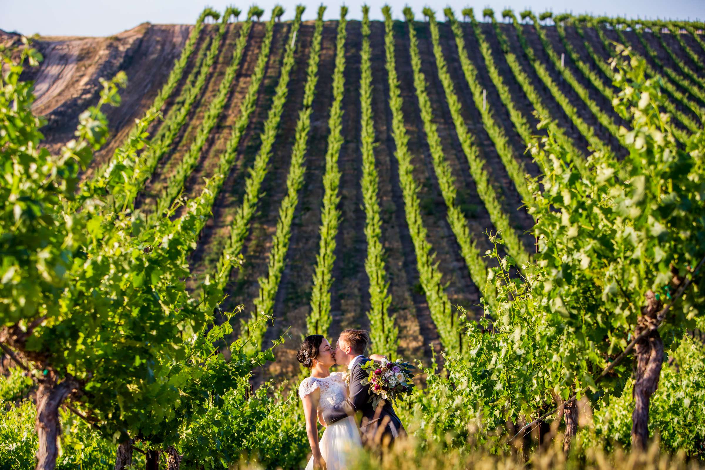 Callaway Vineyards & Winery Wedding coordinated by Hannah Smith Events, Victoria and Aaron Wedding Photo #71 by True Photography