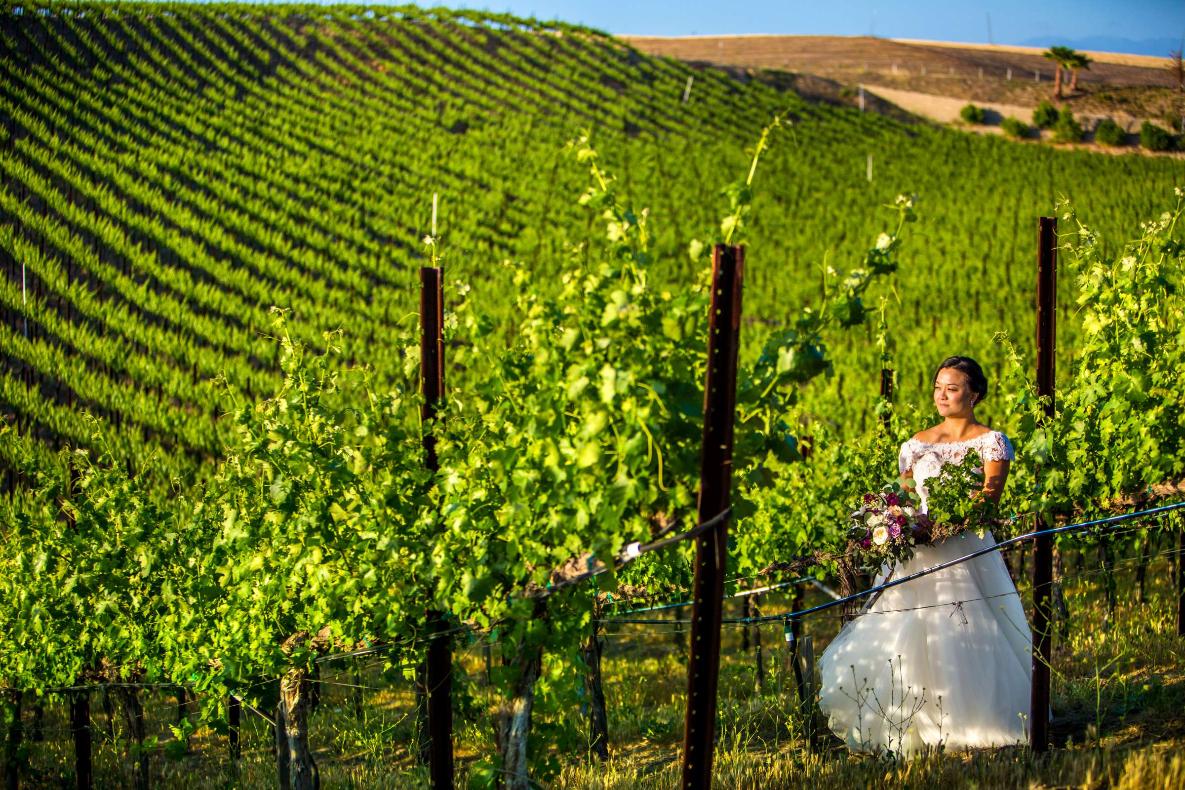 Callaway Vineyards & Winery Wedding coordinated by Hannah Smith Events, Victoria and Aaron Wedding Photo #112 by True Photography