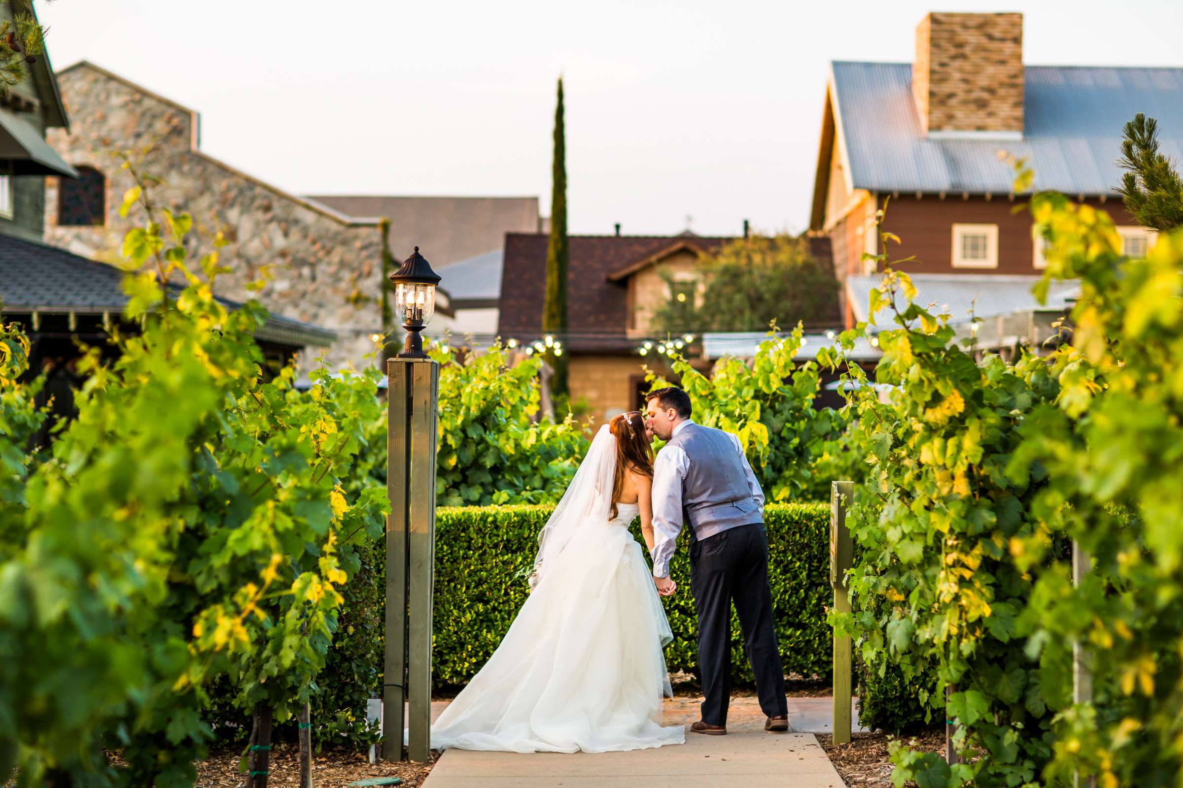 Winery at Ponte Estate Winery Wedding coordinated by Seven Stems Floral Design & Events, Jennifer and Justin Wedding Photo #5 by True Photography
