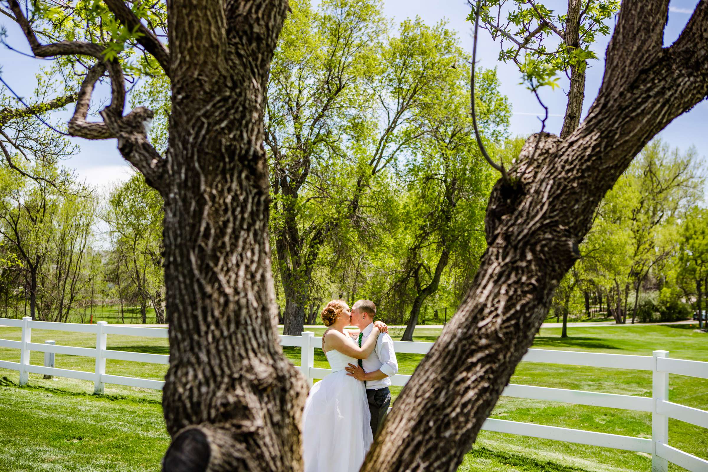 The Barn at Raccoon Creek Wedding, Samantha and Sean Wedding Photo #224839 by True Photography