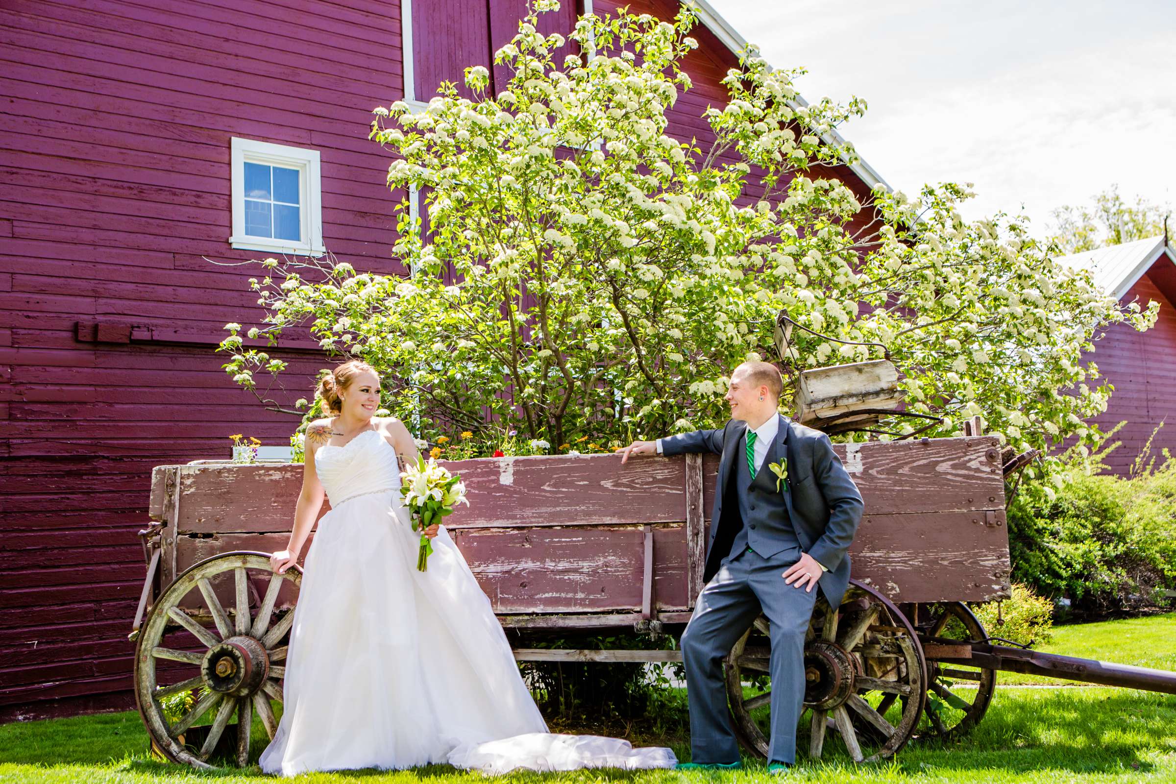 The Barn at Raccoon Creek Wedding, Samantha and Sean Wedding Photo #224846 by True Photography