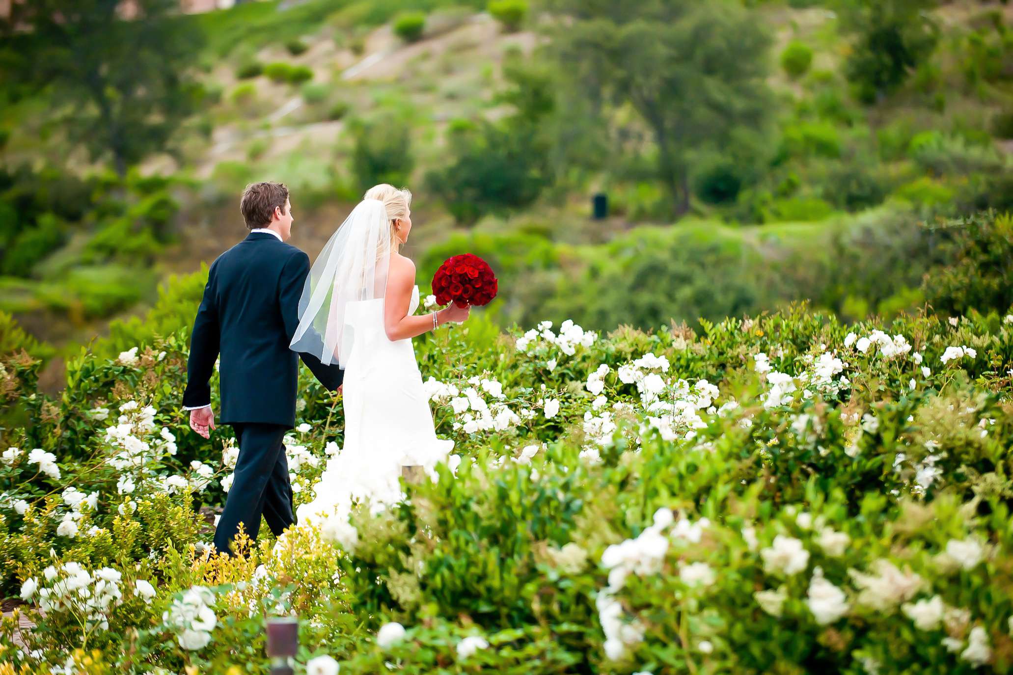 Pelican Hill Resort Wedding coordinated by Brooke Keegan Weddings and Events, KC and Garth Wedding Photo #21 by True Photography