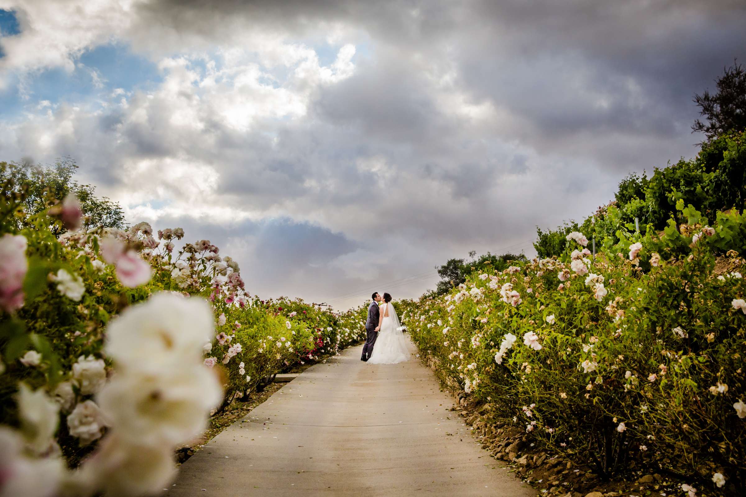 Serendipity Garden Weddings Wedding, Ruth and Freddie Wedding Photo #3 by True Photography
