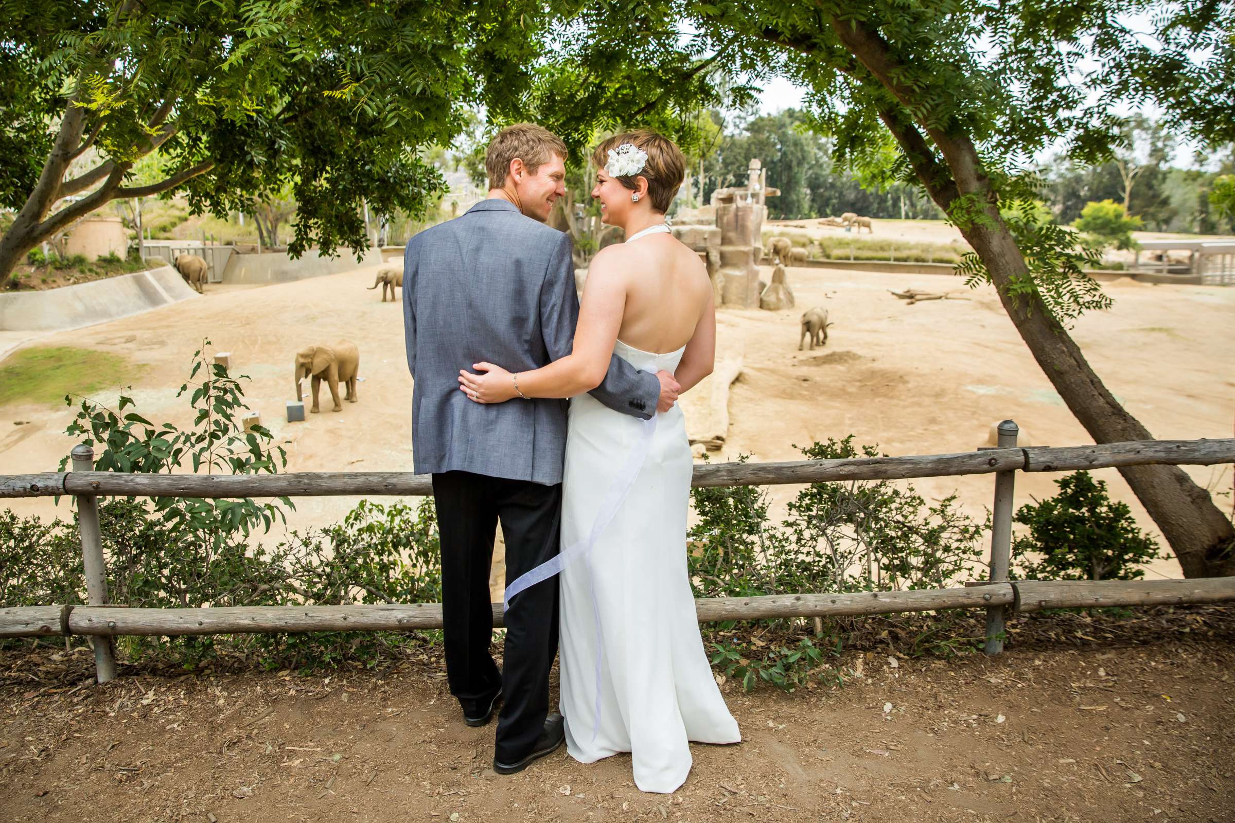 Safari Park Wedding, Ariane and Kenyon Wedding Photo #227347 by True Photography