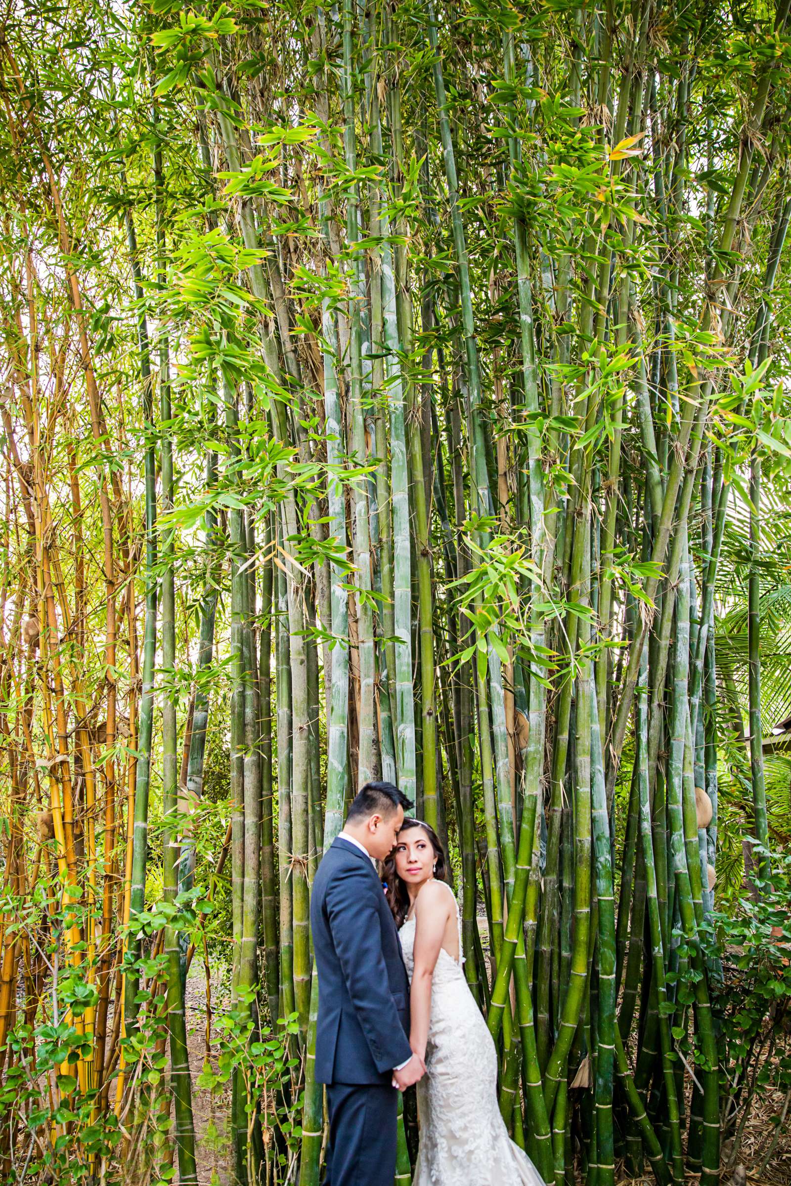 Grand Tradition Estate Wedding coordinated by Grand Tradition Estate, Autumn and Franz Wedding Photo #3 by True Photography