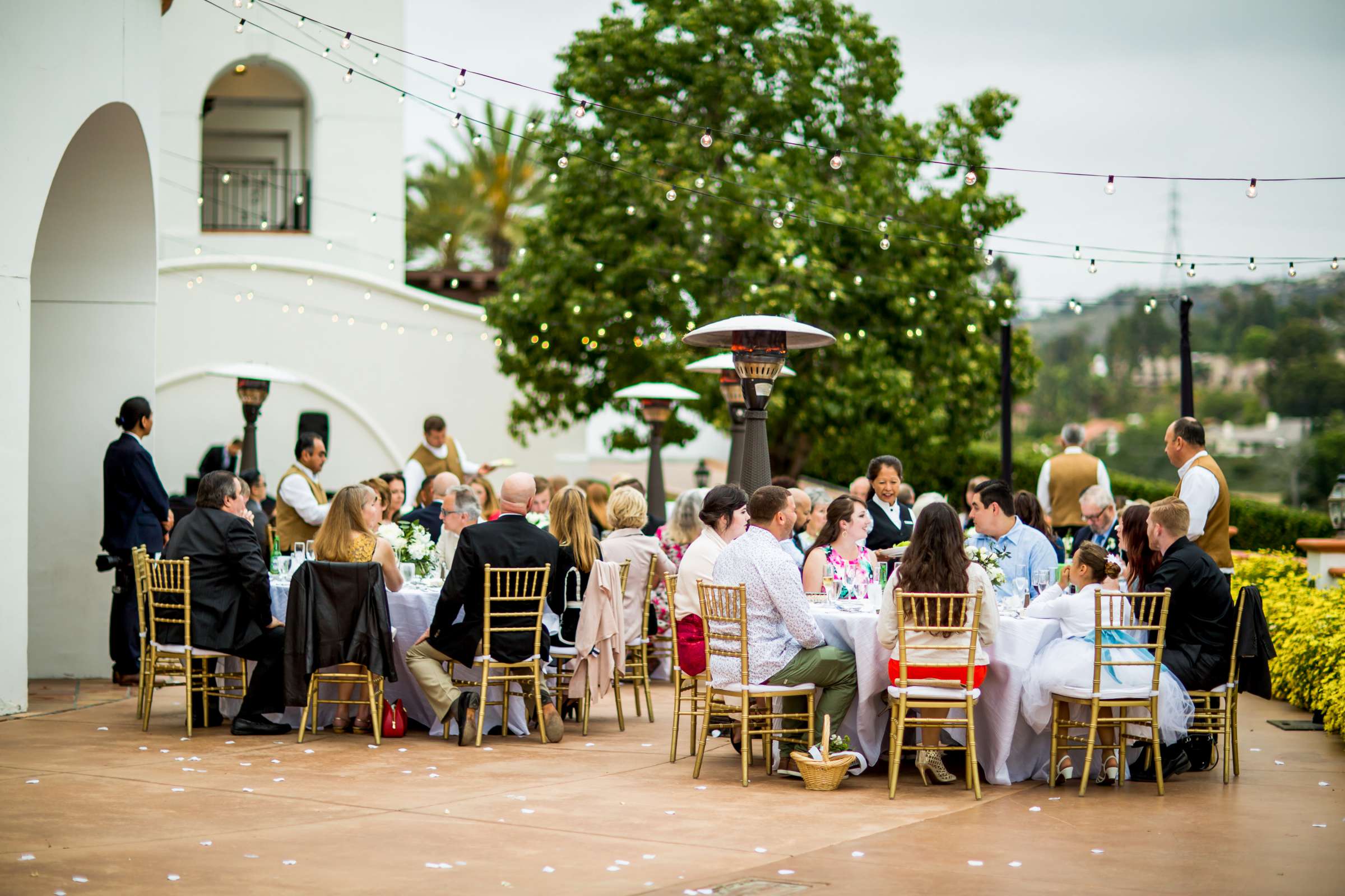 Omni La Costa Resort & Spa Wedding, Elizabeth and Casey Wedding Photo #78 by True Photography