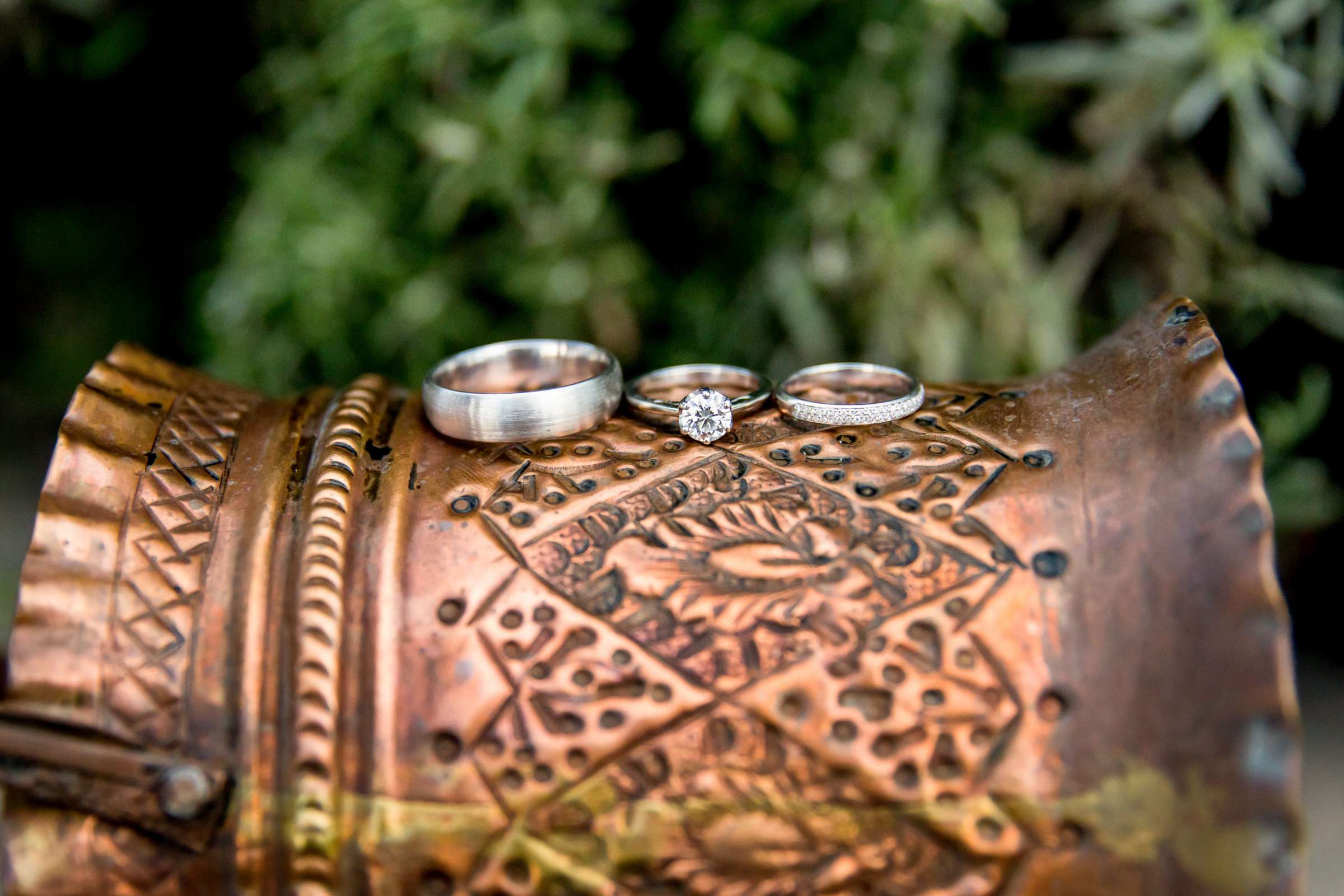 Rings at Wedding, Samira and Thomas Wedding Photo #18 by True Photography