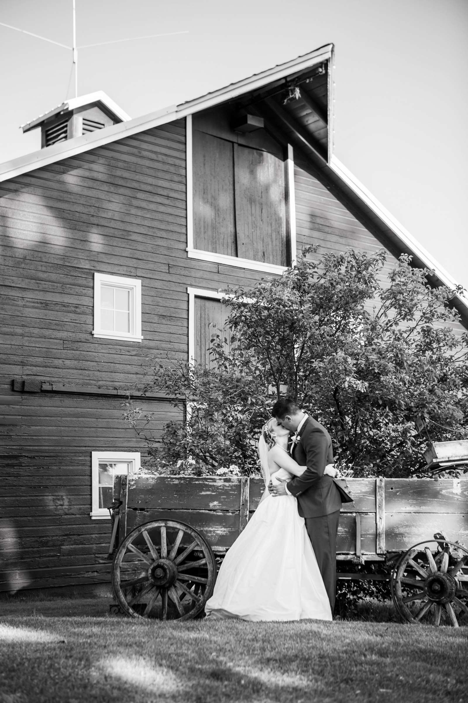 The Barn at Raccoon Creek Wedding coordinated by A Touch Of Bliss, Jennifer and Matt Wedding Photo #94 by True Photography