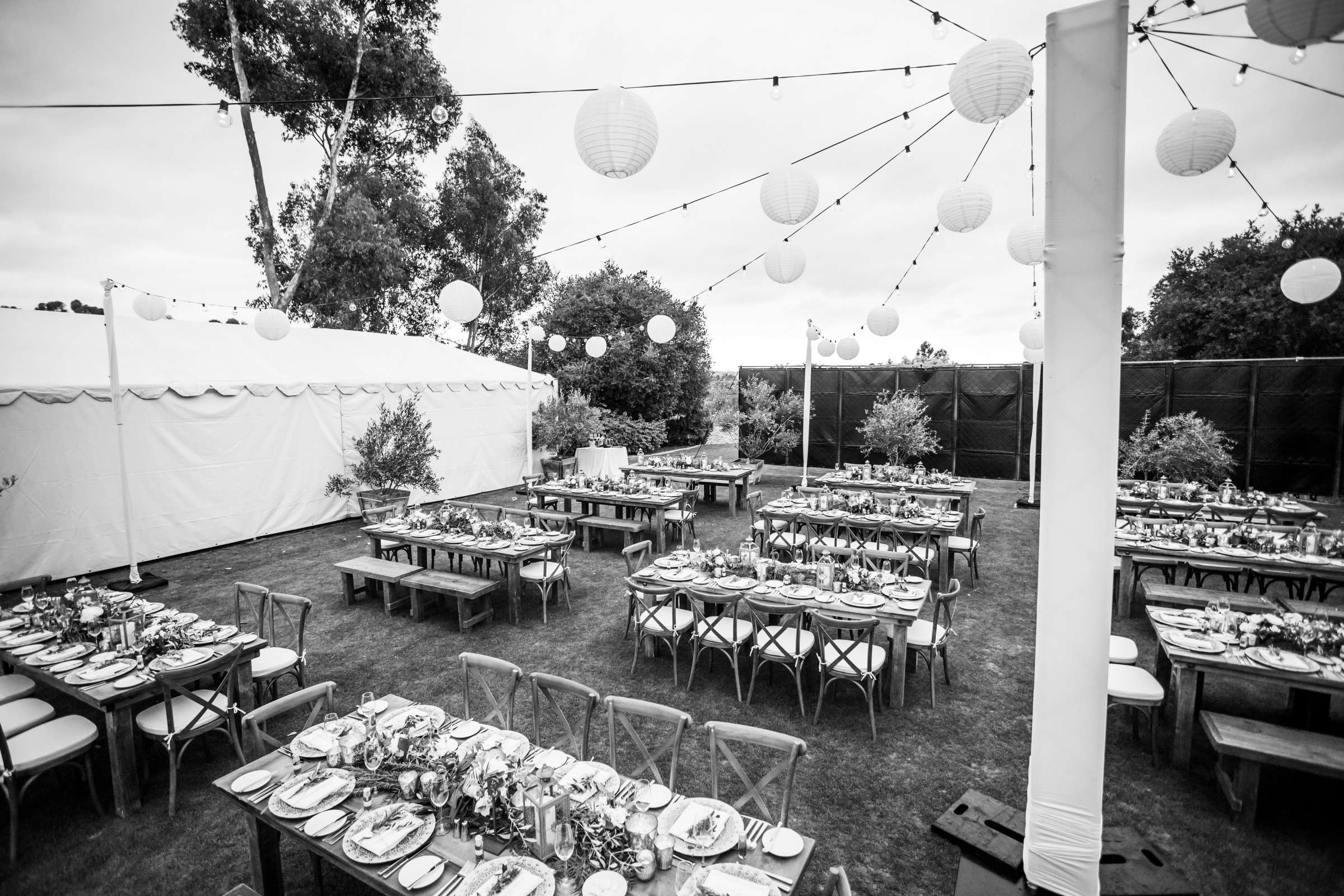 Rancho Valencia Wedding coordinated by EverAfter Events, Lynn and Chris Wedding Photo #232003 by True Photography