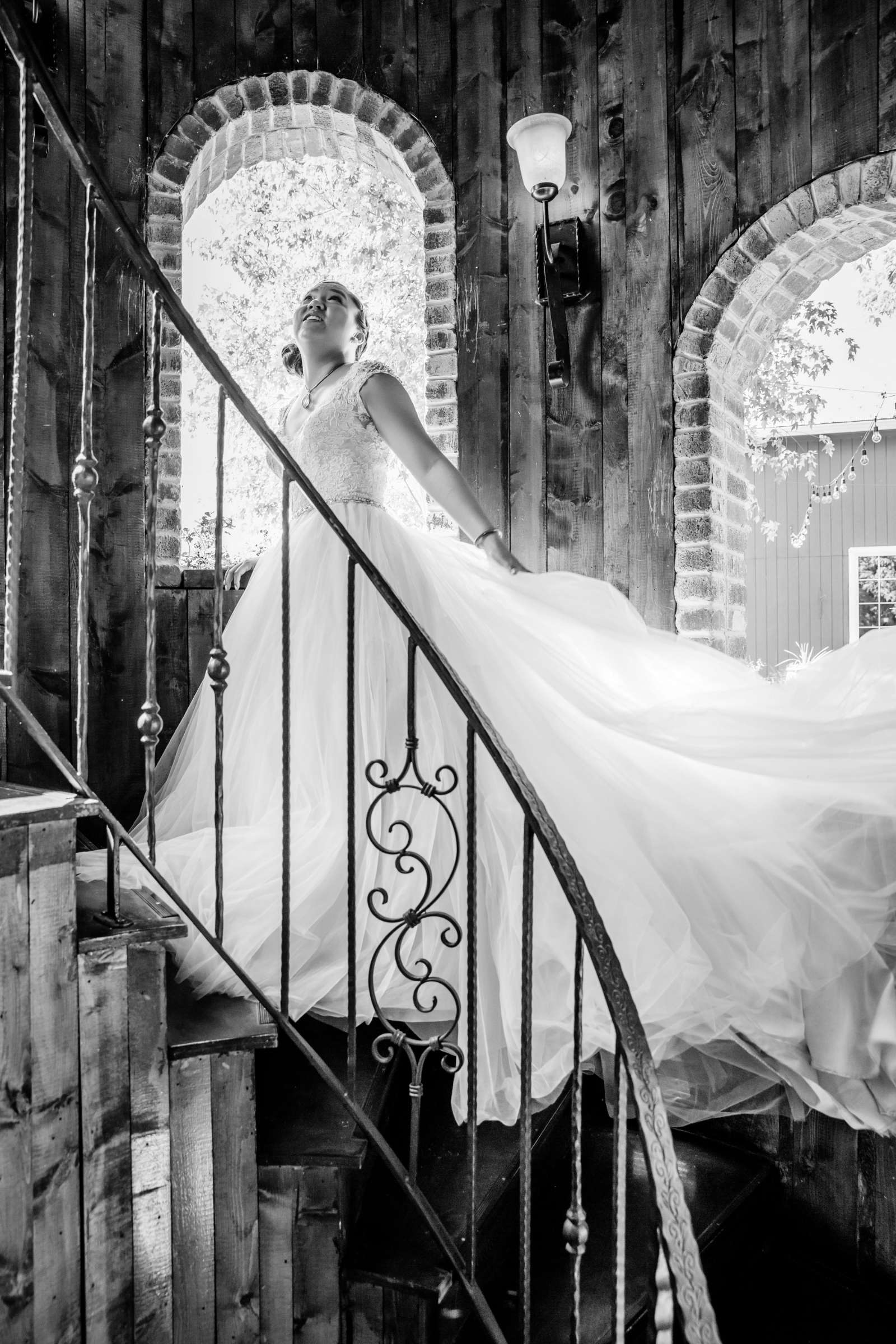 Wedding Dress, Black and White photo at Crooked Willow Farms Wedding coordinated by Yibe Bridal Concierge, Cici and Tim Wedding Photo #237120 by True Photography