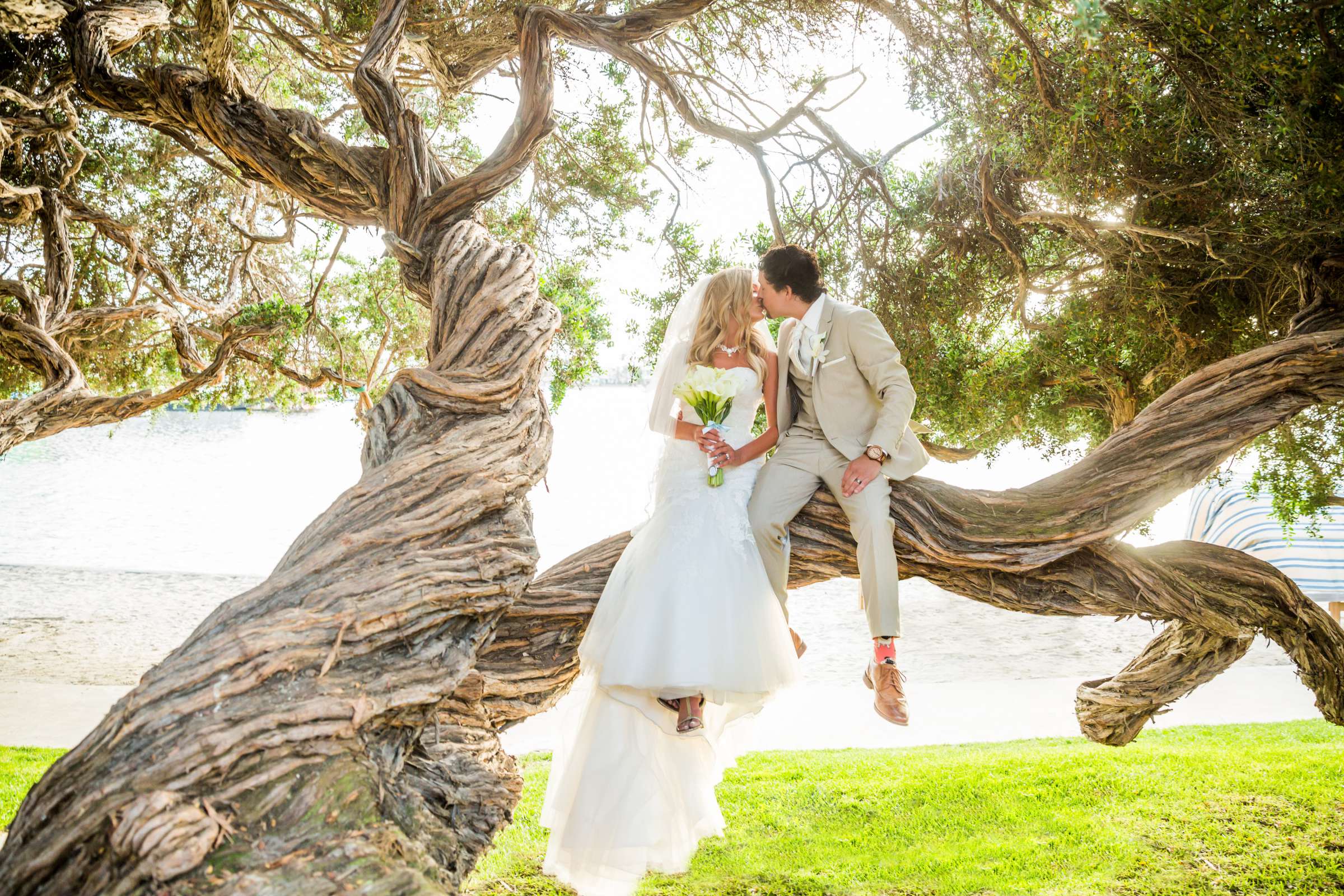 Bahia Hotel Wedding coordinated by Creative Affairs Inc, Amanda and Robert Wedding Photo #97 by True Photography