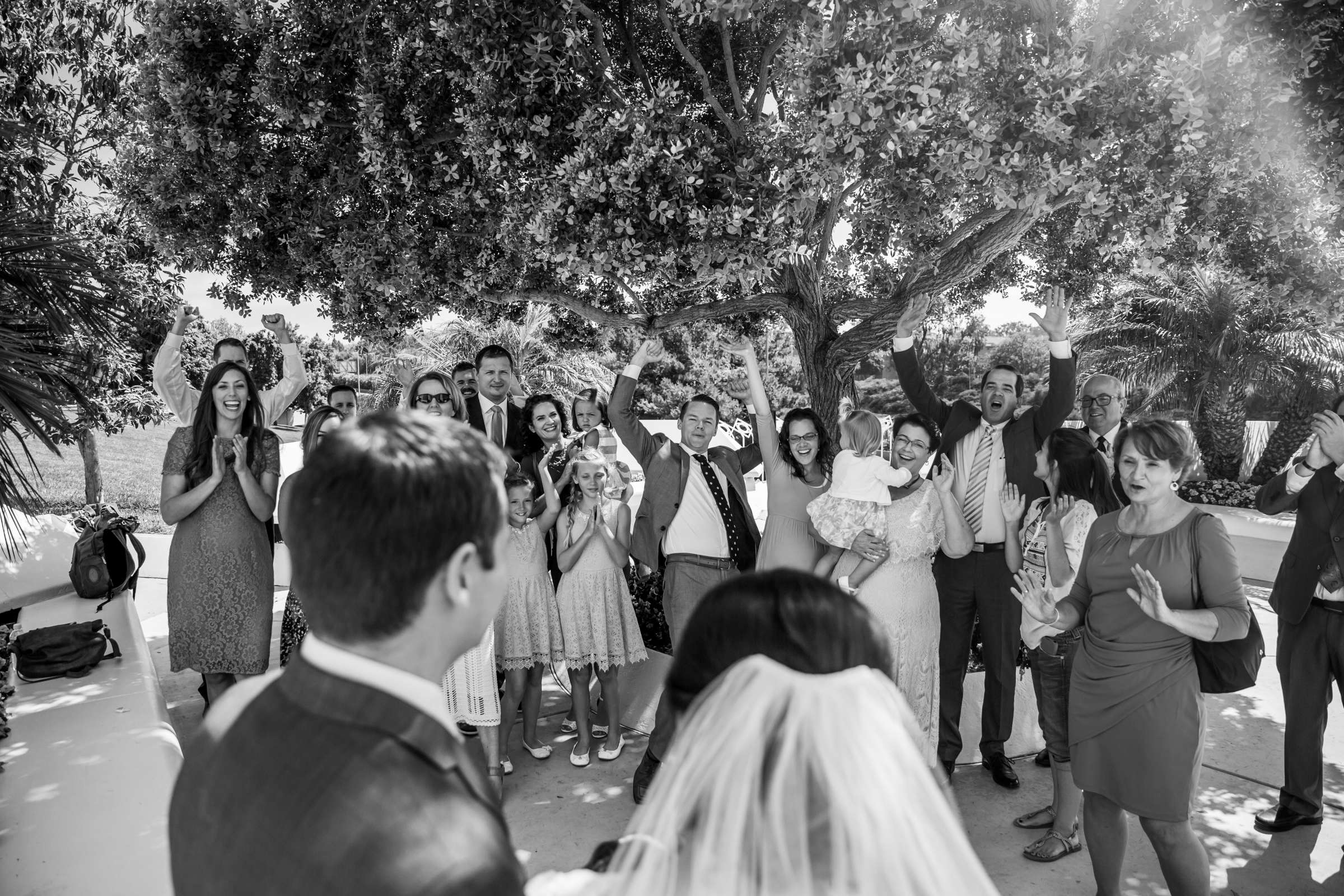 Wedding, Chanelle and Steven Wedding Photo #242247 by True Photography