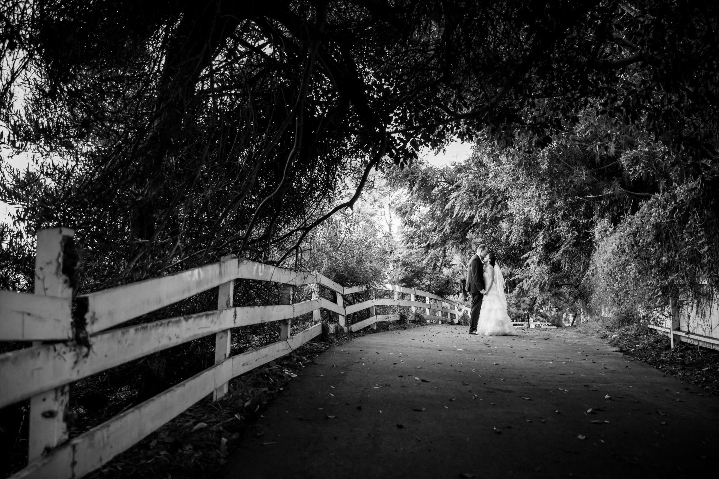 Green Gables Wedding Estate Wedding, Amanda and Paul Wedding Photo #17 by True Photography