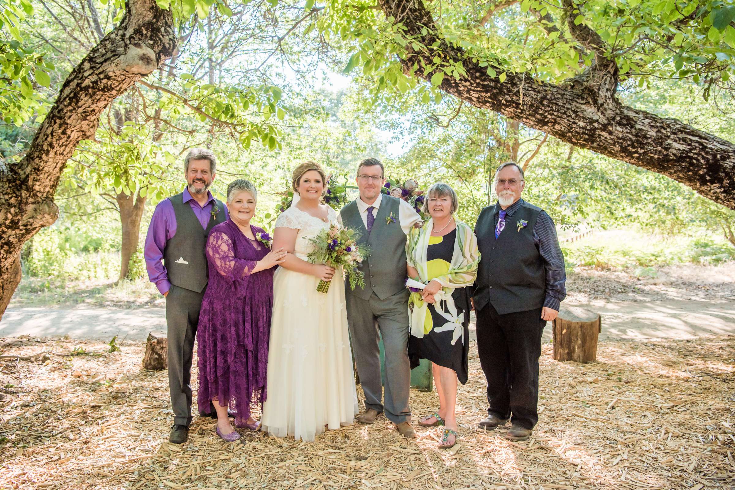Bailey's Palomar Resort Wedding, Dalen and Dave Wedding Photo #245471 by True Photography