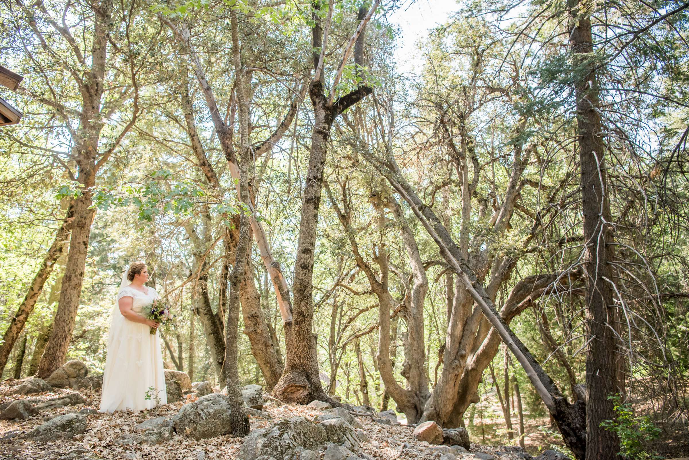 Bailey's Palomar Resort Wedding, Dalen and Dave Wedding Photo #245474 by True Photography