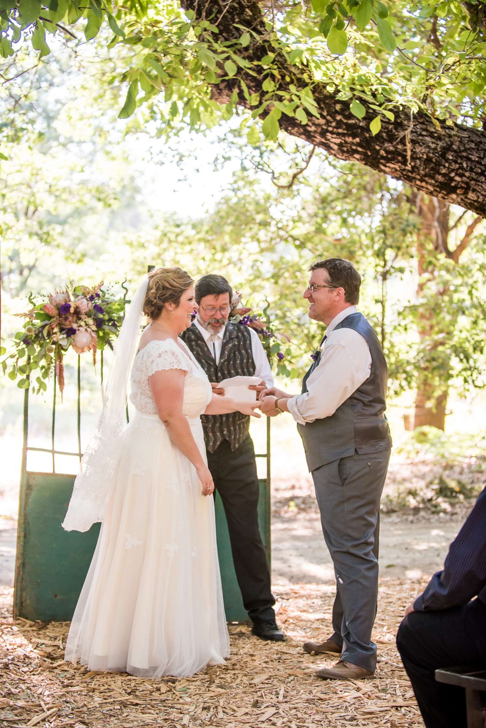 Bailey's Palomar Resort Wedding, Dalen and Dave Wedding Photo #245533 by True Photography