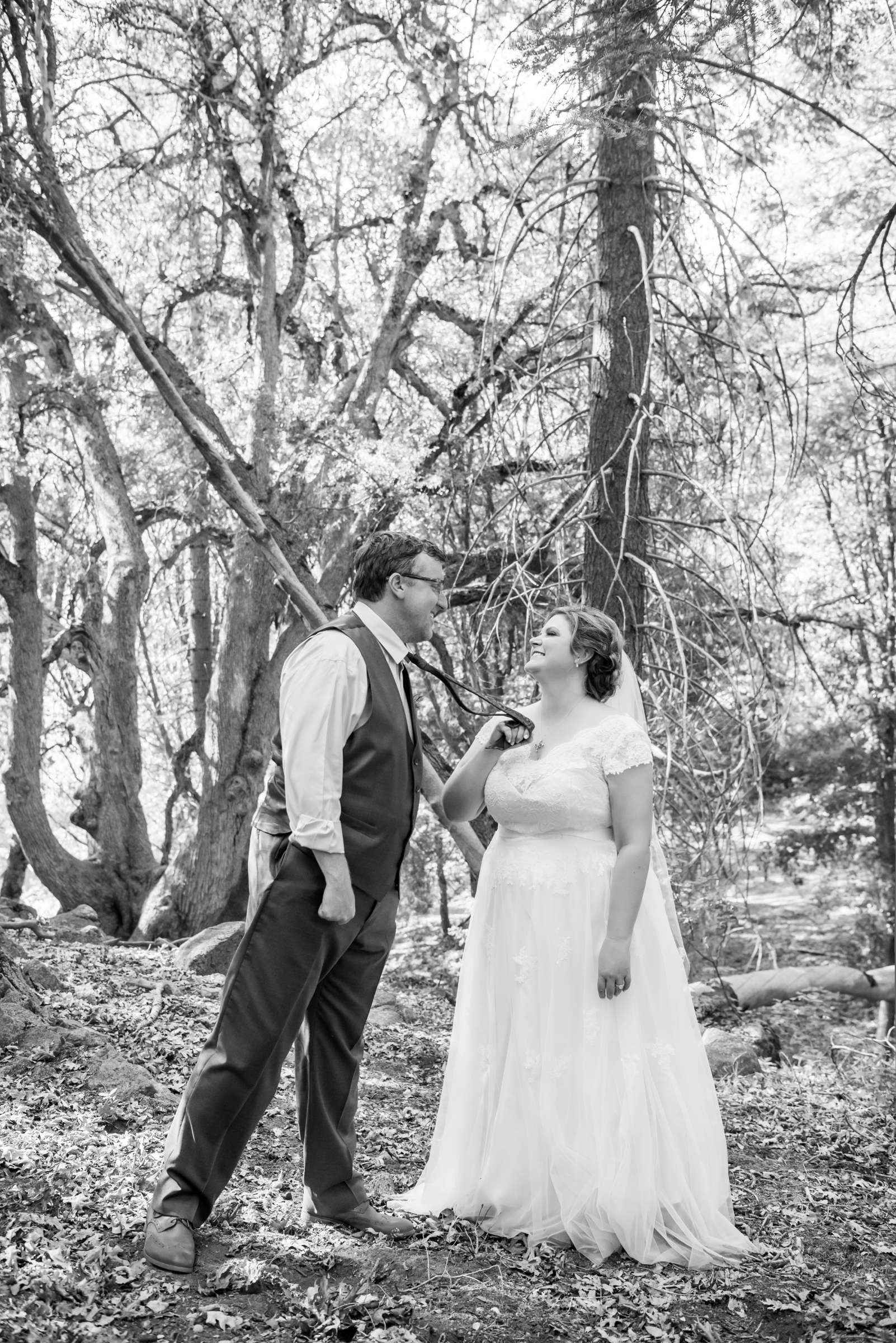 Bailey's Palomar Resort Wedding, Dalen and Dave Wedding Photo #245553 by True Photography